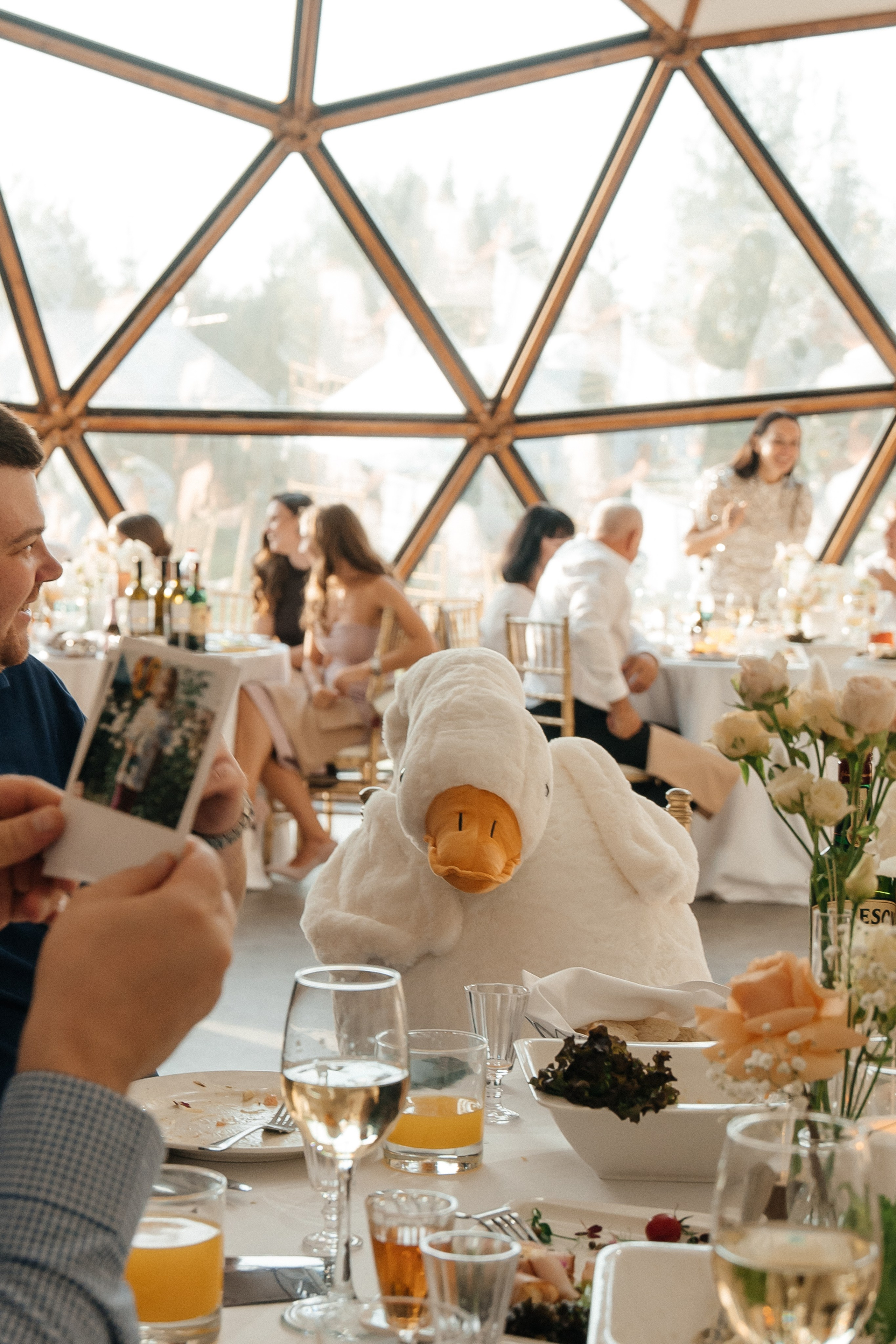 ANONS. Мария — Свадебный фотограф