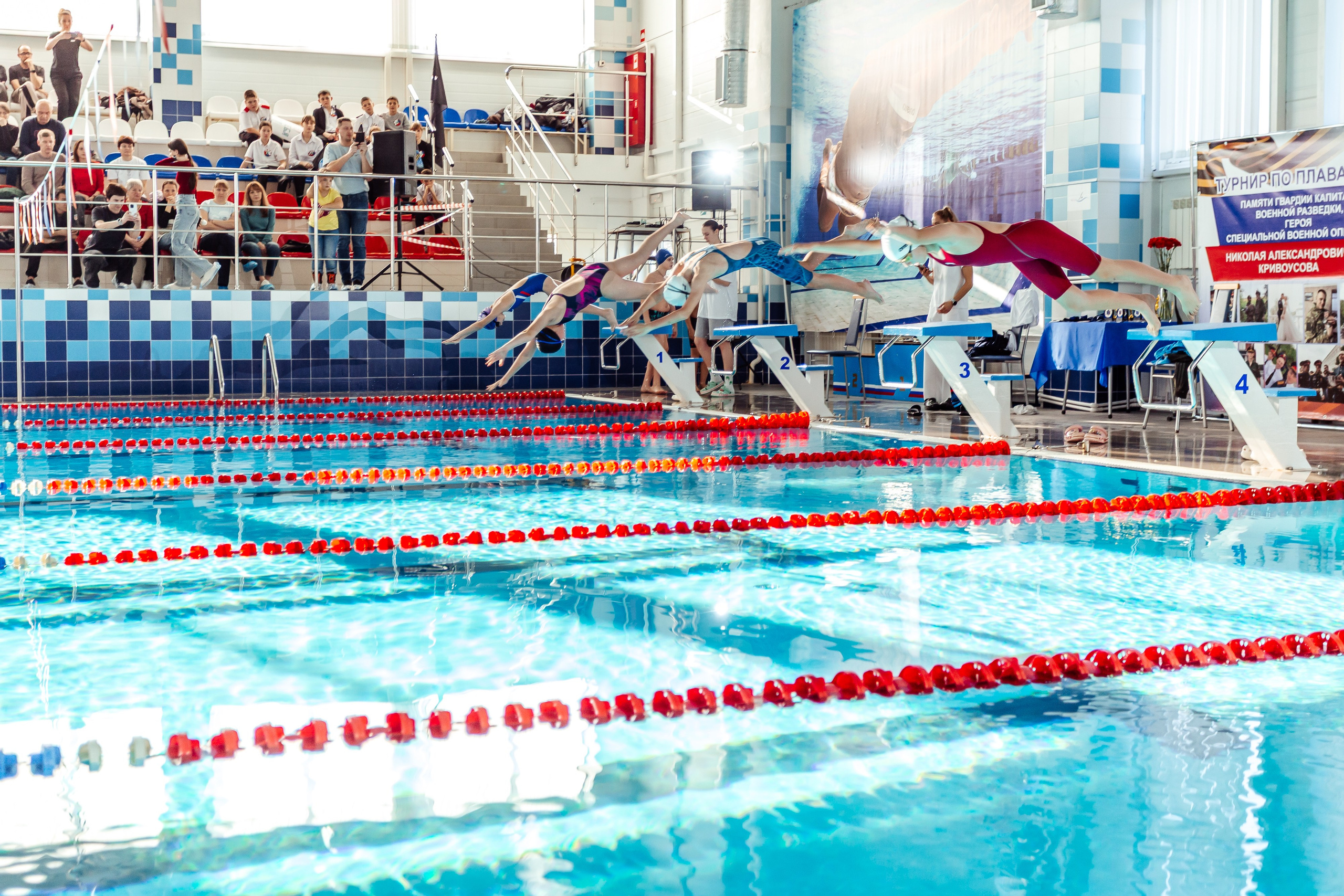 Школа плавания «Виктория». Свадебный фотограф в Краснодаре Николай Крауз