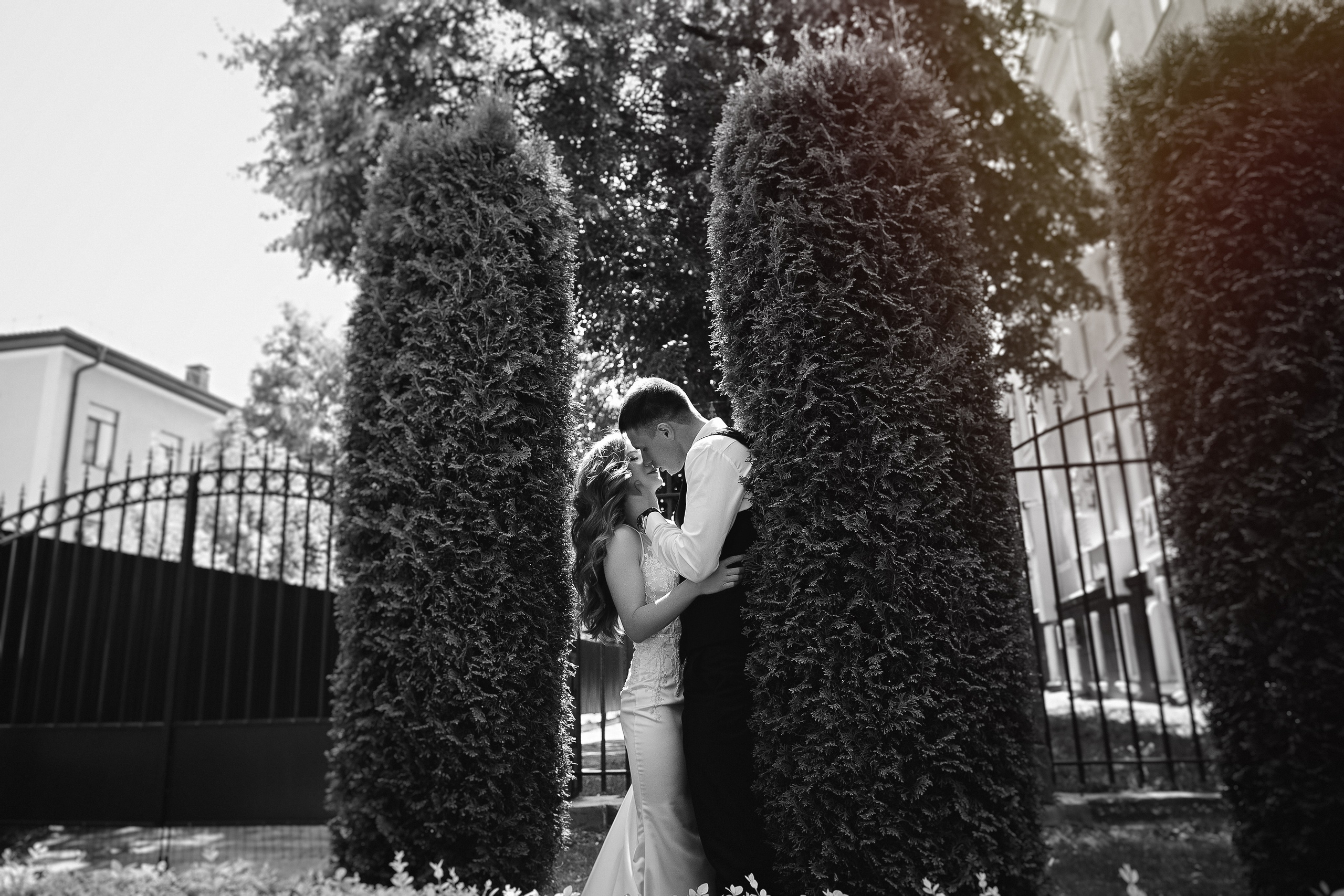 Игорь Тихонов. Фотограф Игорь Тихонов