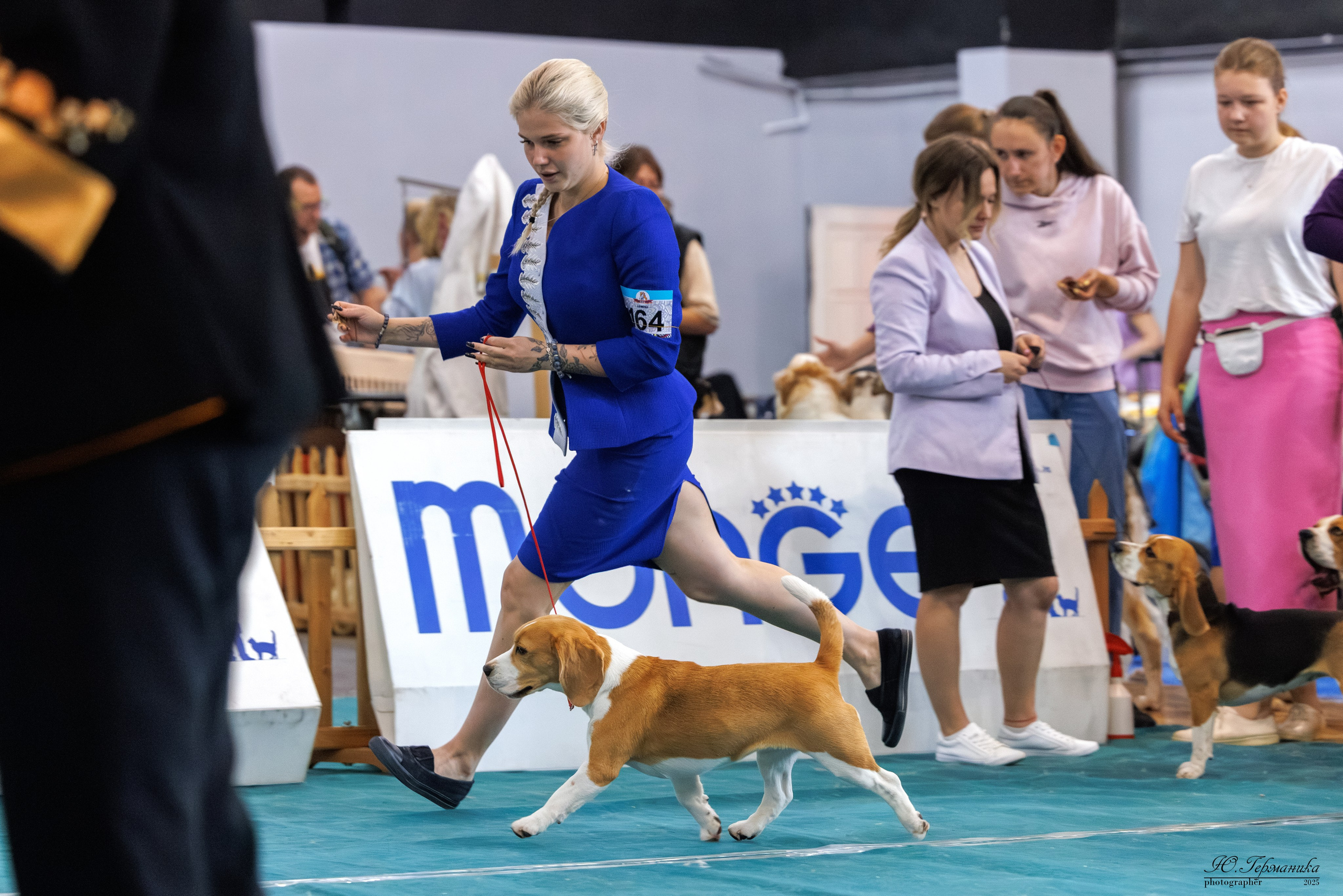 Ереван 2х CACIB 29-30.04.2025. Фотограф-анималист Юлия Германика