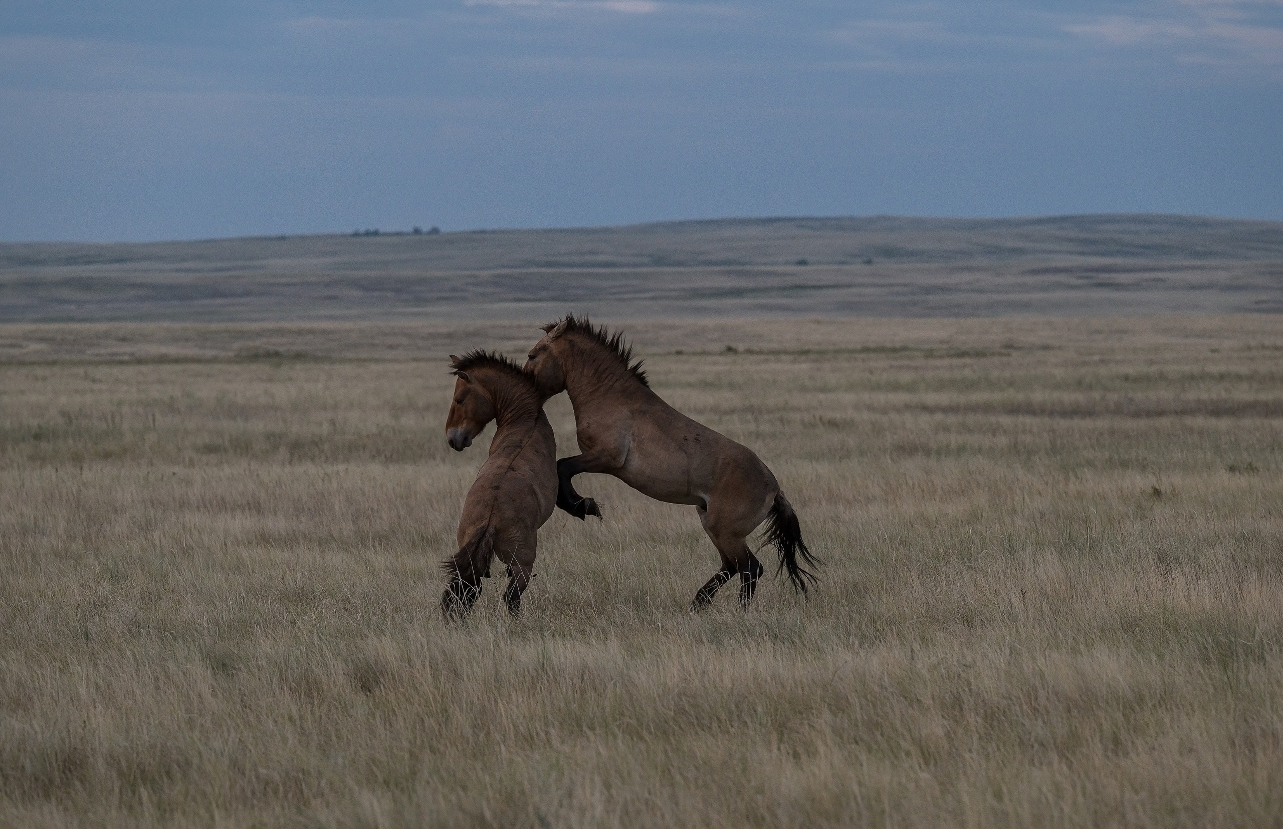 В природе. Портретный фотограф в Челябинске Катерина Руди