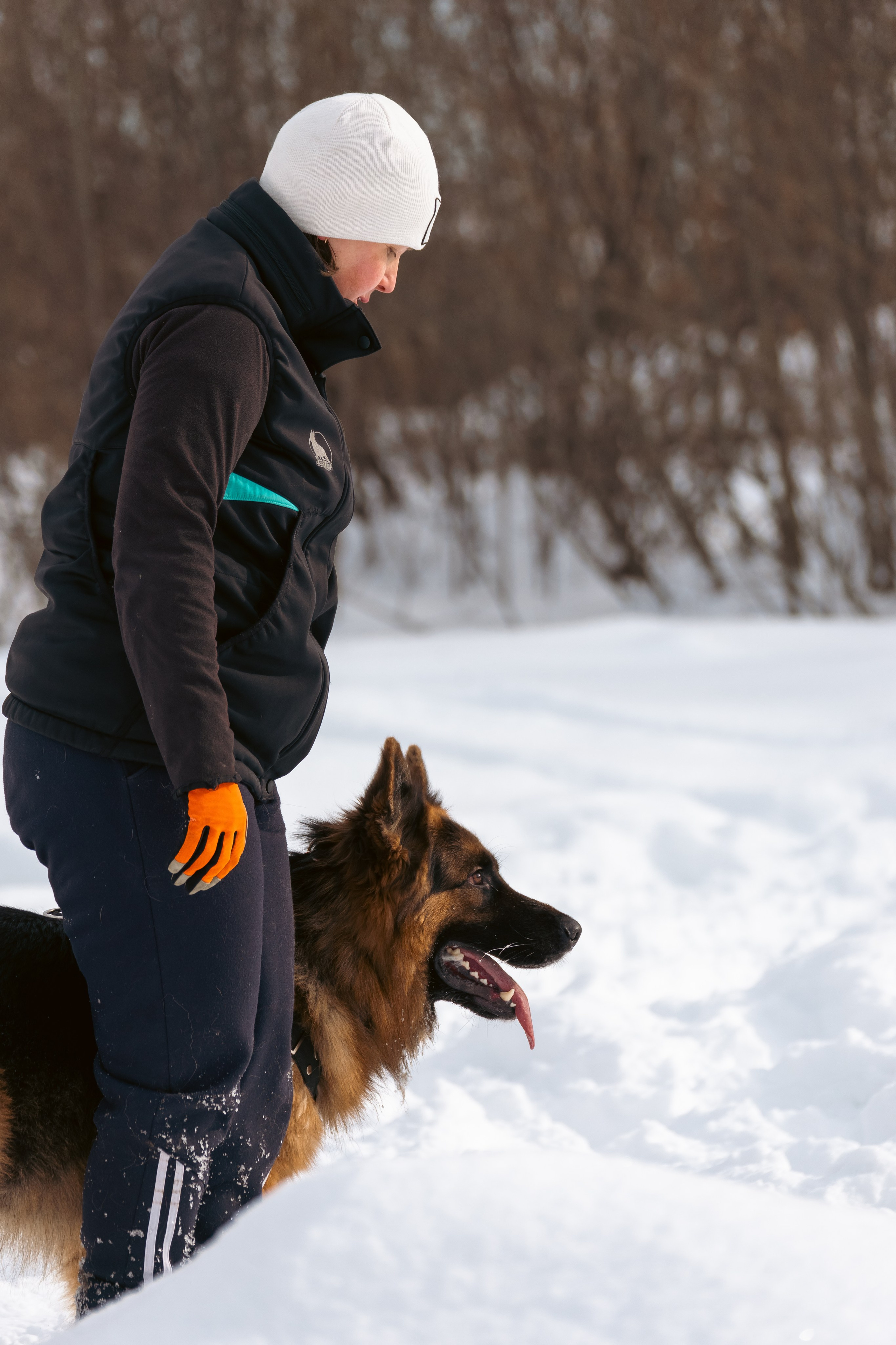Репортажная съемка. Фотограф-анималист Нижний Новгород