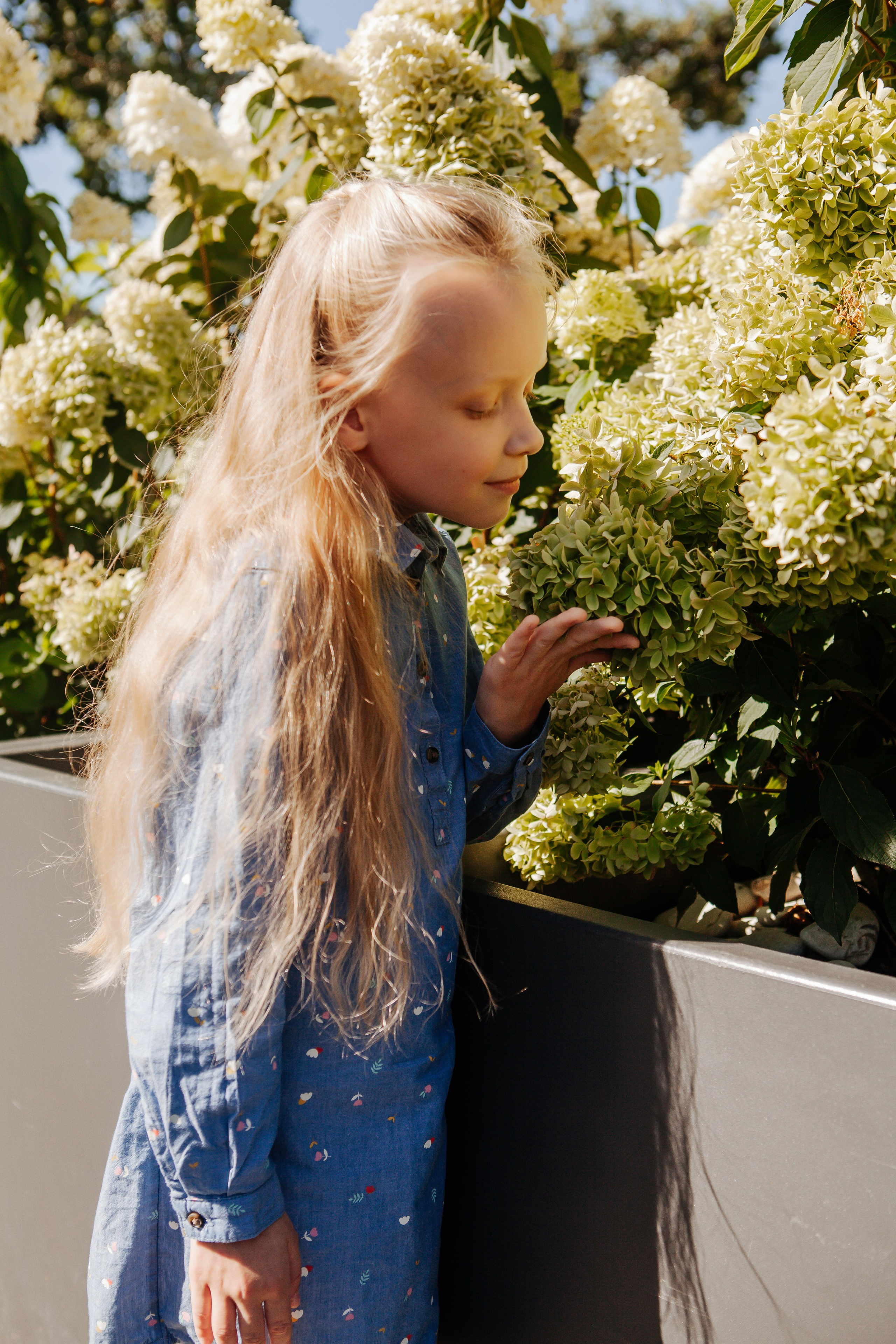 С семьей. Репортажный Фотограф в Санкт-Петербурге Светлана Мосиенко