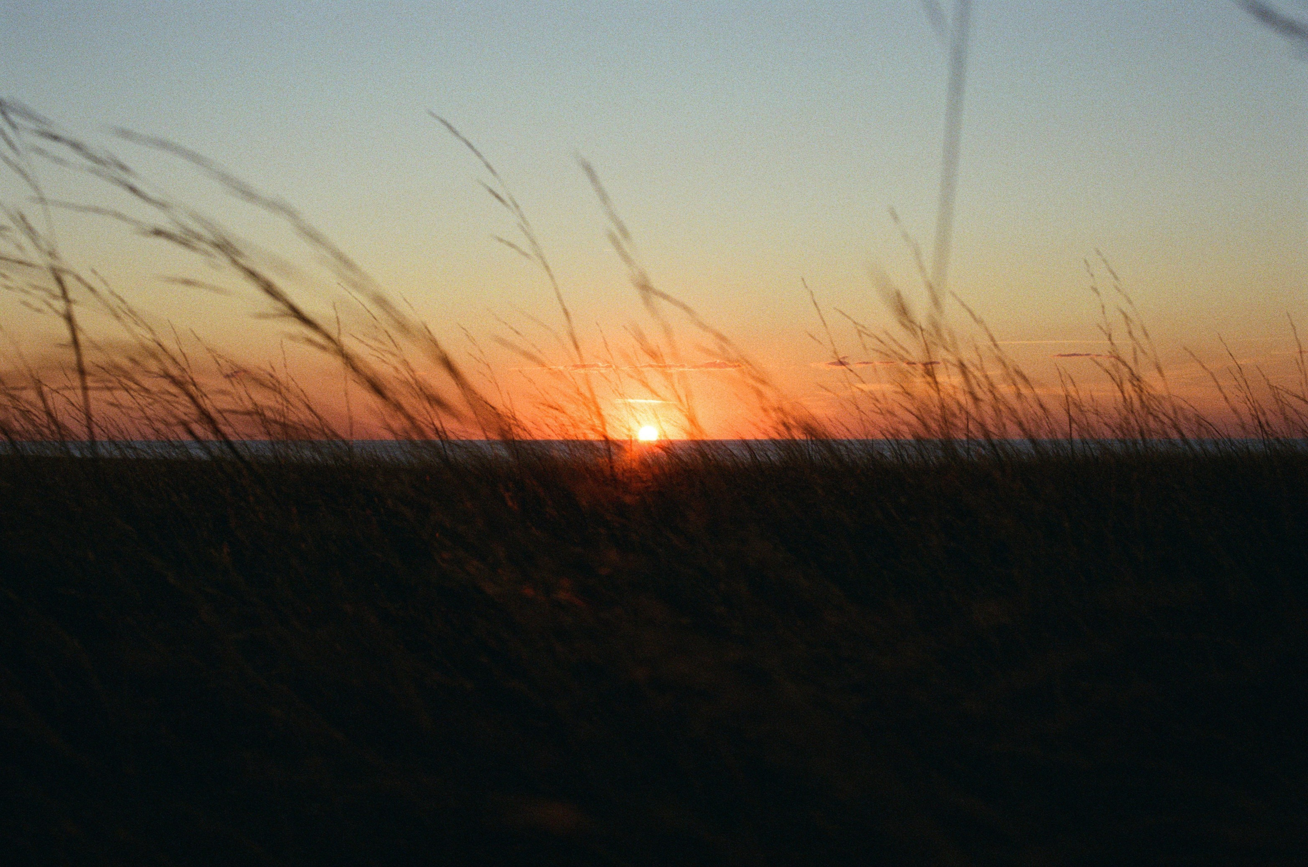 Your guardian angel // ukraine, crimea. EVER EXPOSED