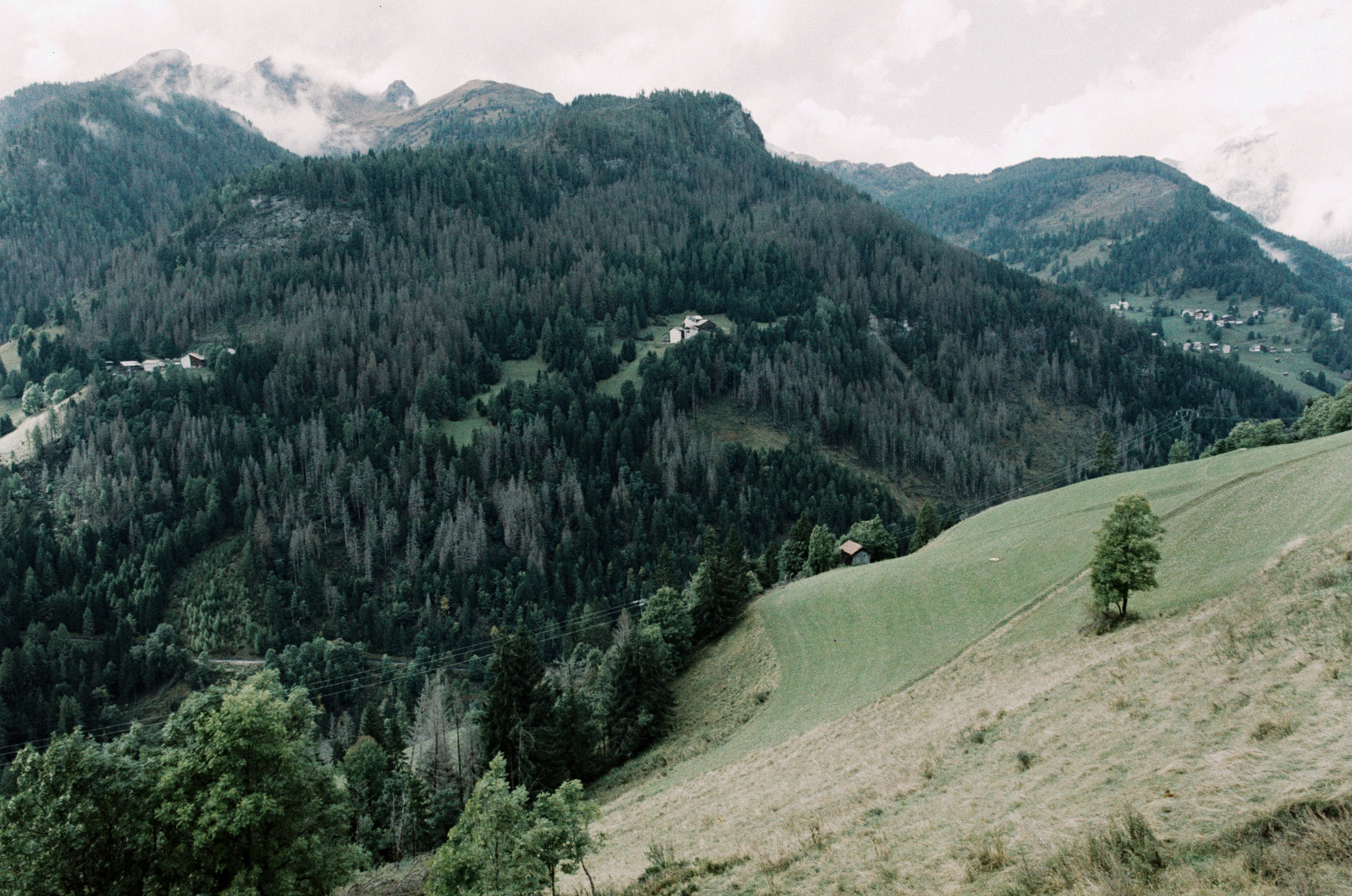 Wasted // italy, dolomites II. EVER EXPOSED