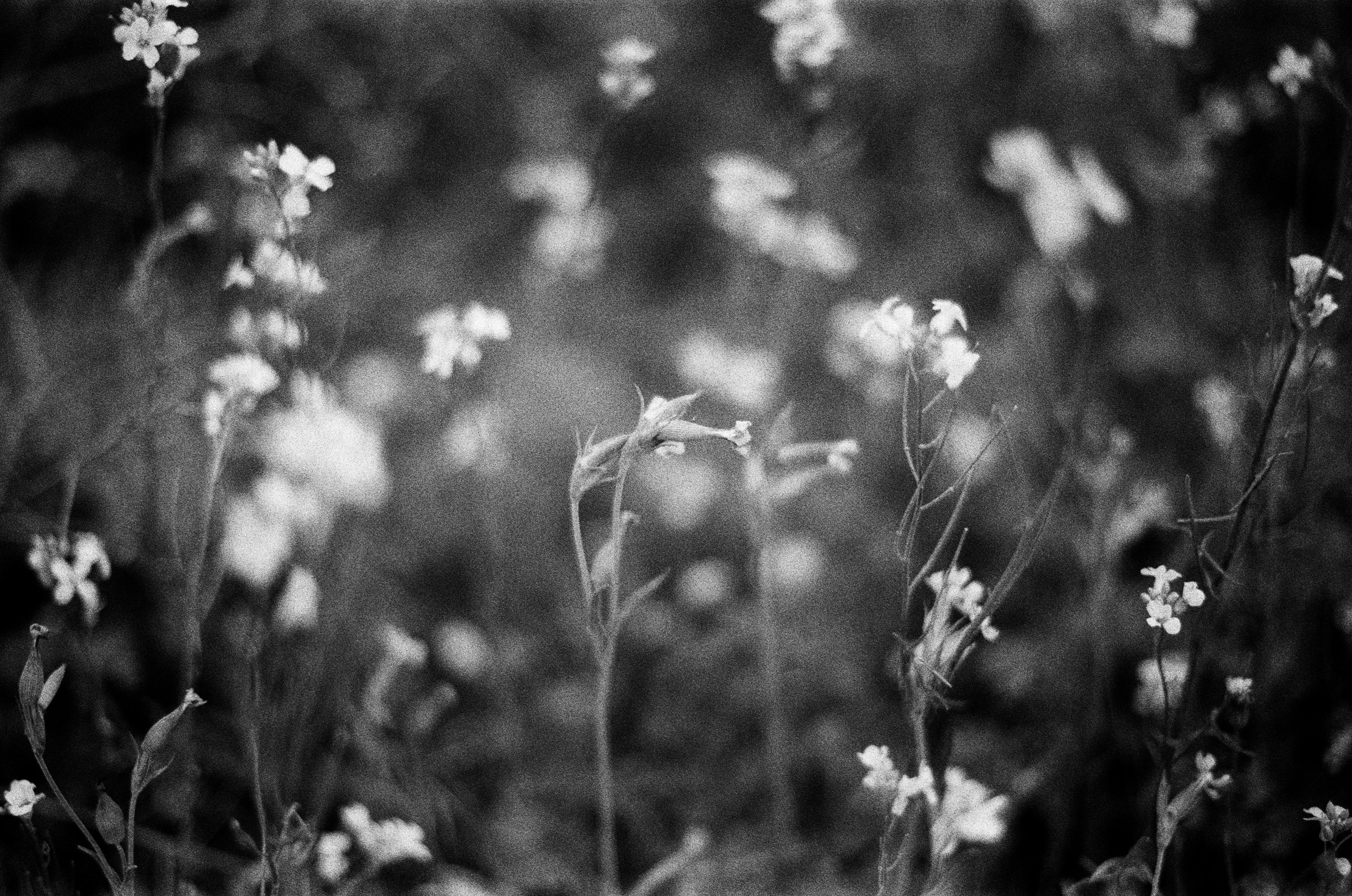 Move me // ukraine, crimea. EVER EXPOSED