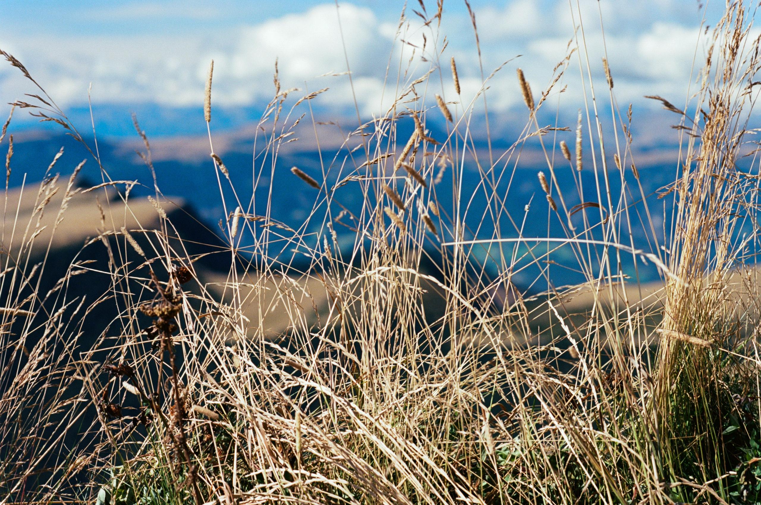 Il dono della vita // italy, dolomites II. EVER EXPOSED