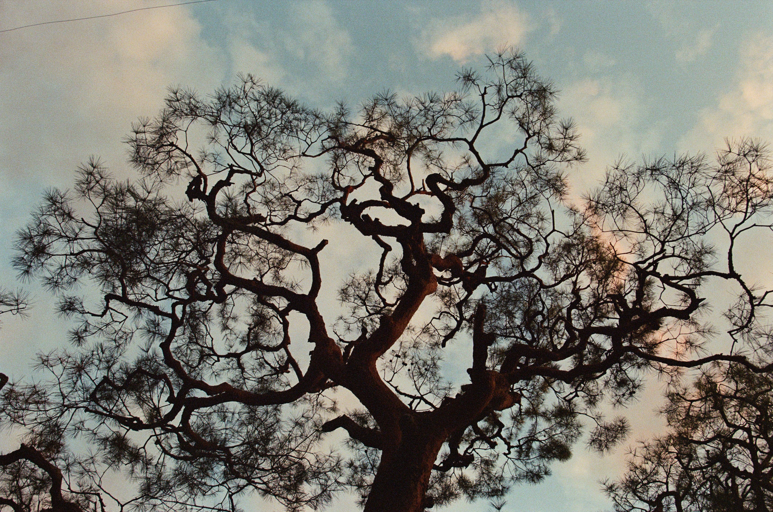 Out of noise // japan, kyoto IV. EVER EXPOSED