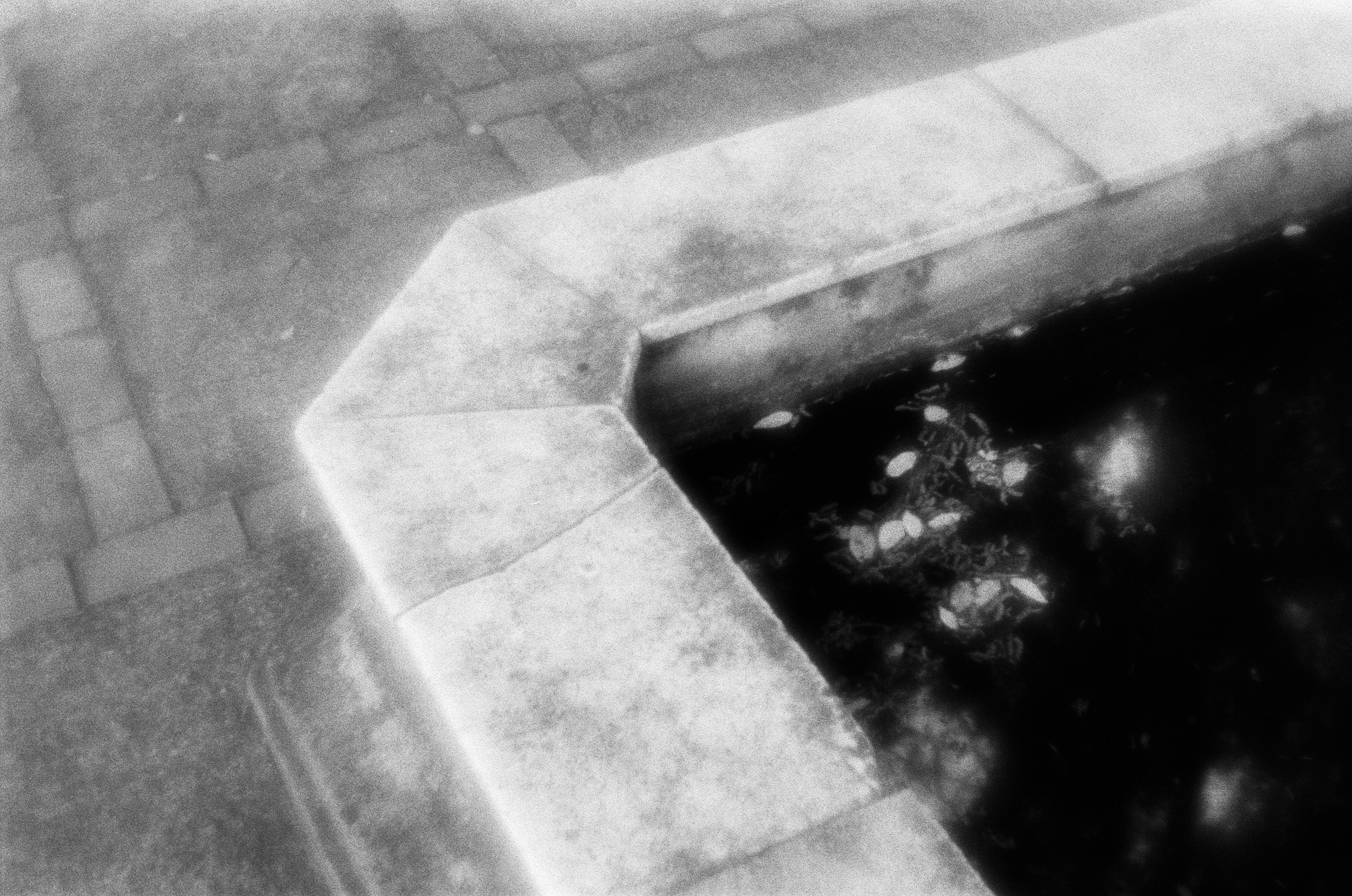 Oblomki chuvstv // ukraine, crimea VI. EVER EXPOSED