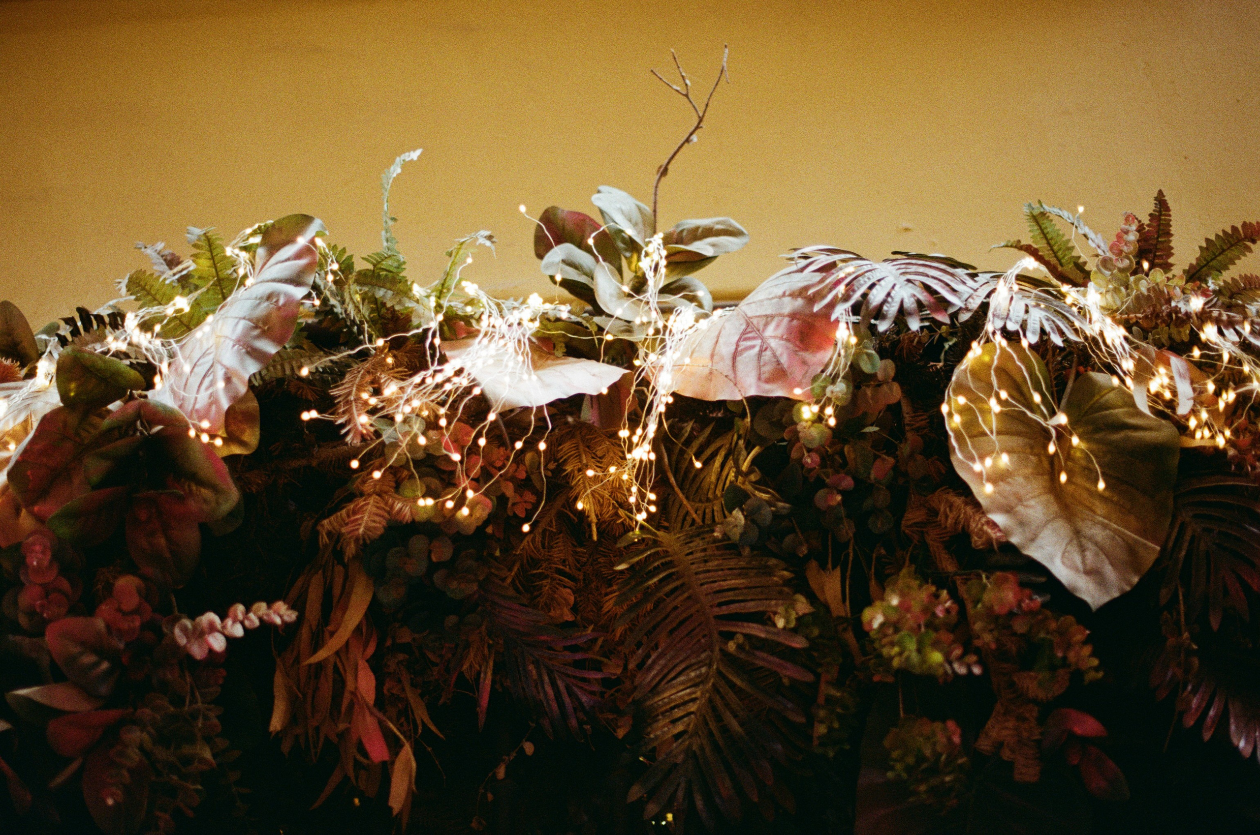 Spanish sahara // spain, seville. EVER EXPOSED