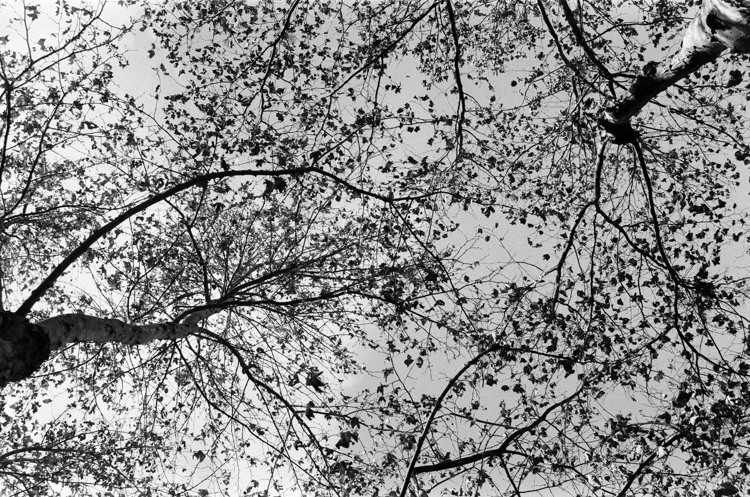 Spanish sahara // spain, granada. EVER EXPOSED