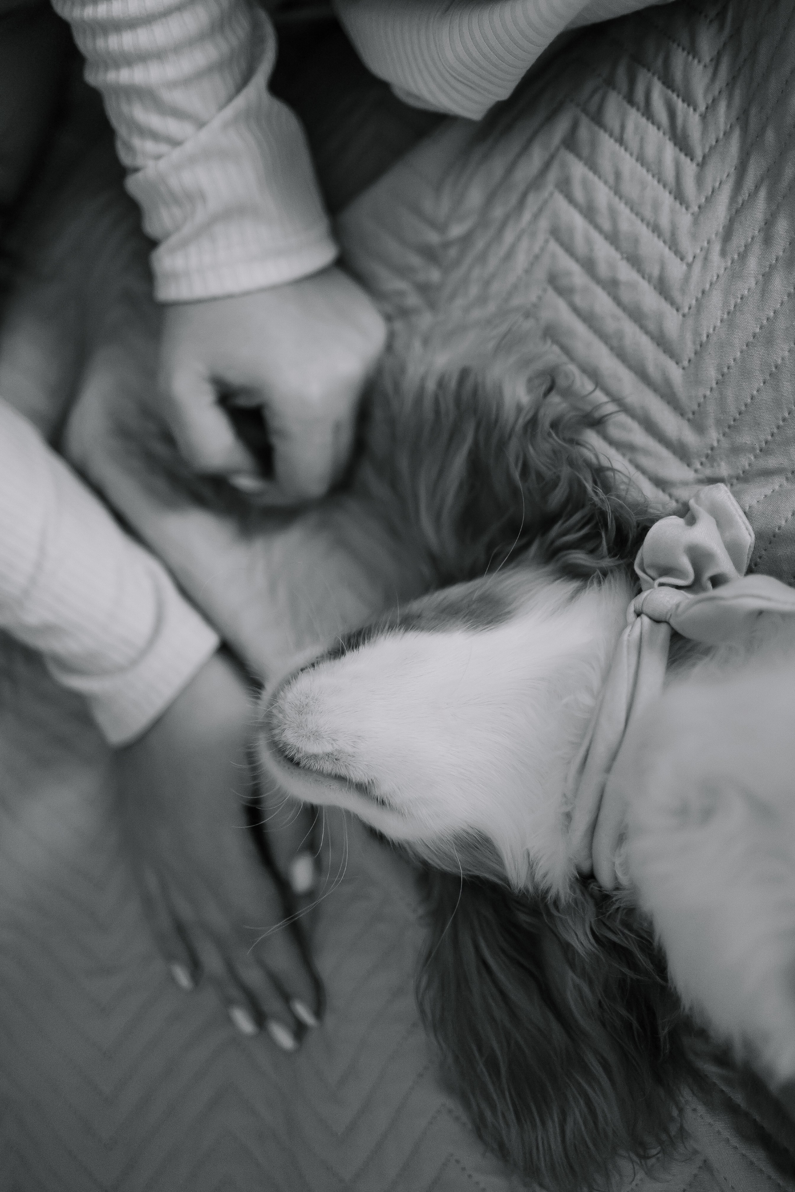 Хочу надеть купальник (Николаево). Свадебный фотограф