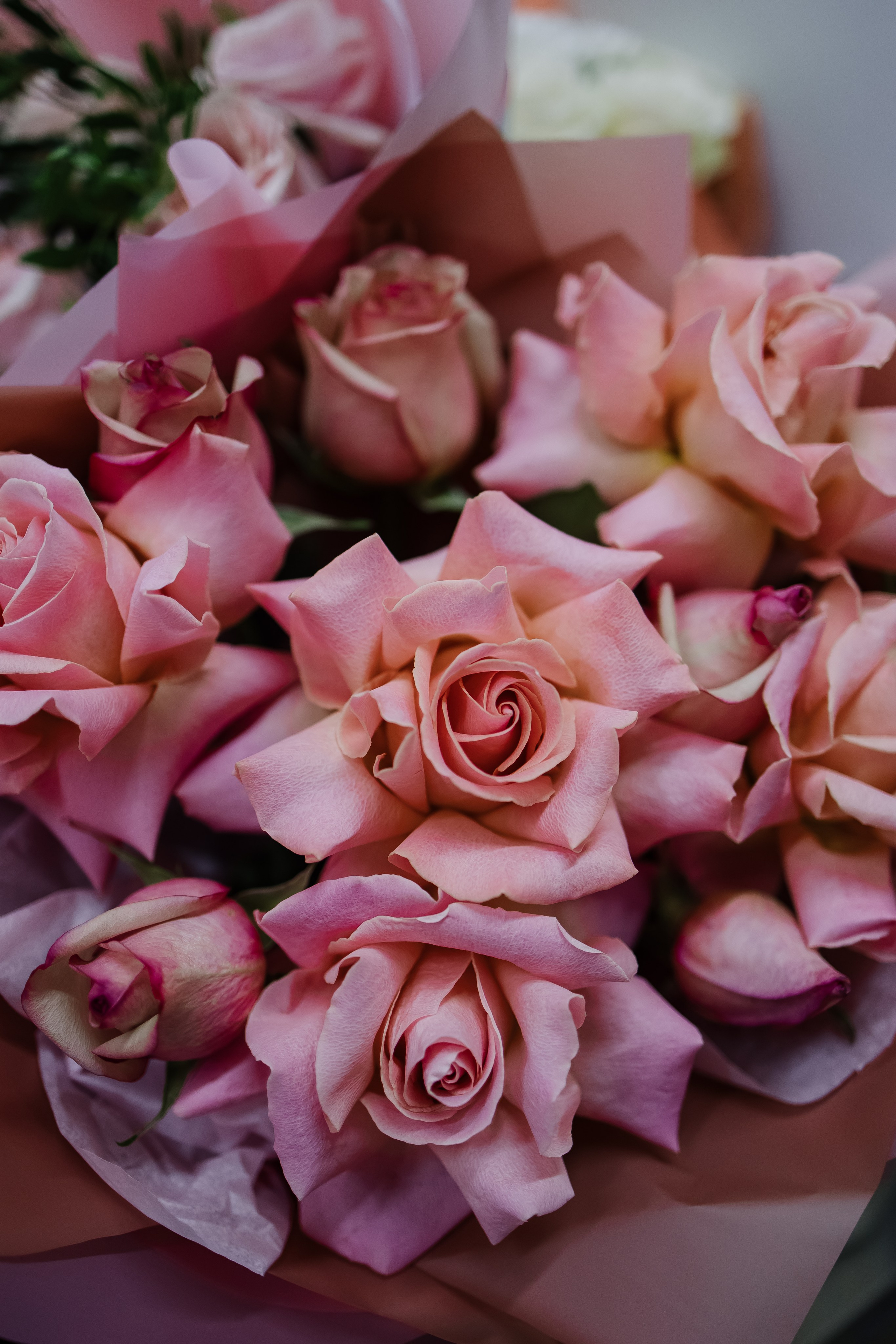 Илья/Влада. Свадебный фотограф