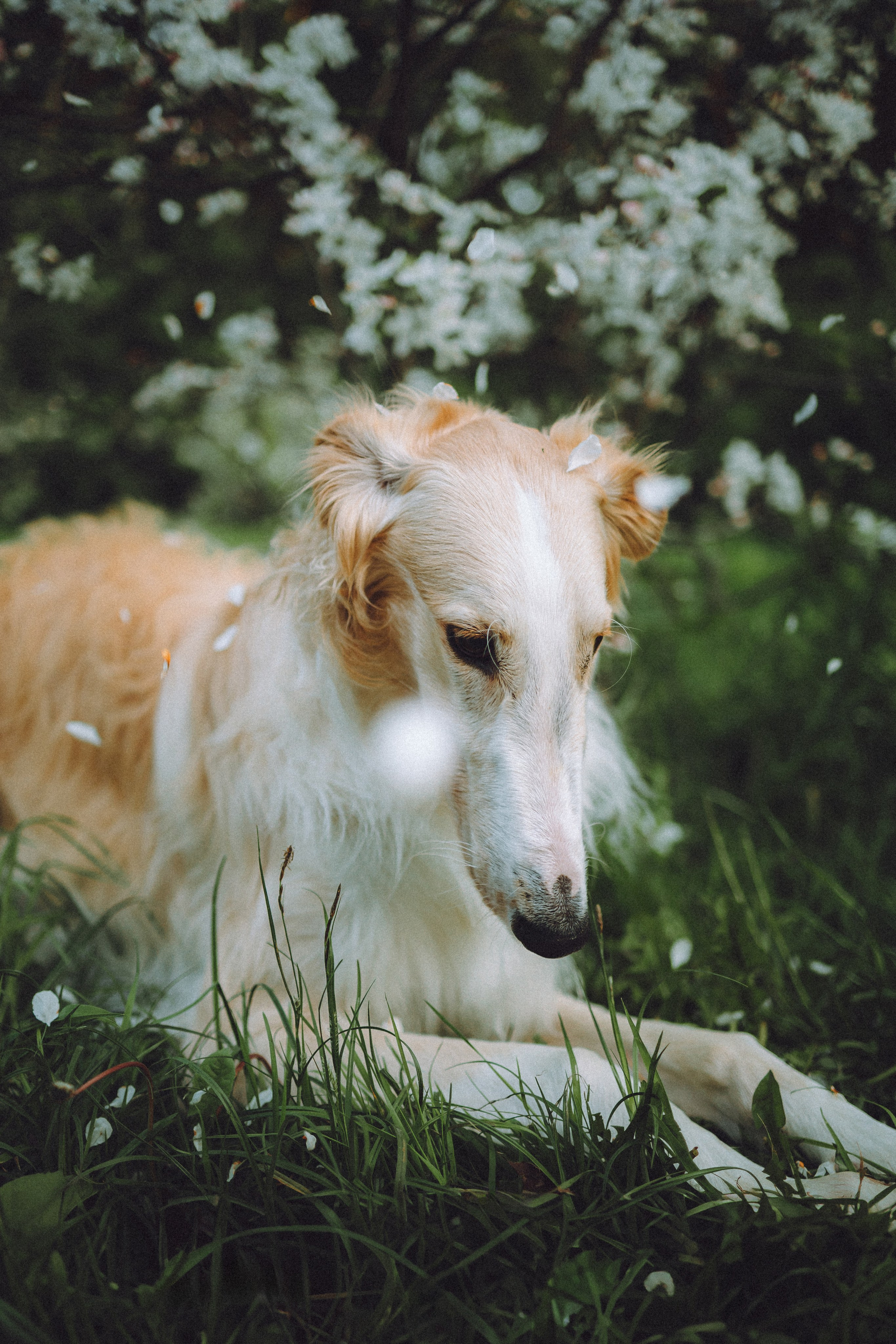 Илай, Зайка и их семья