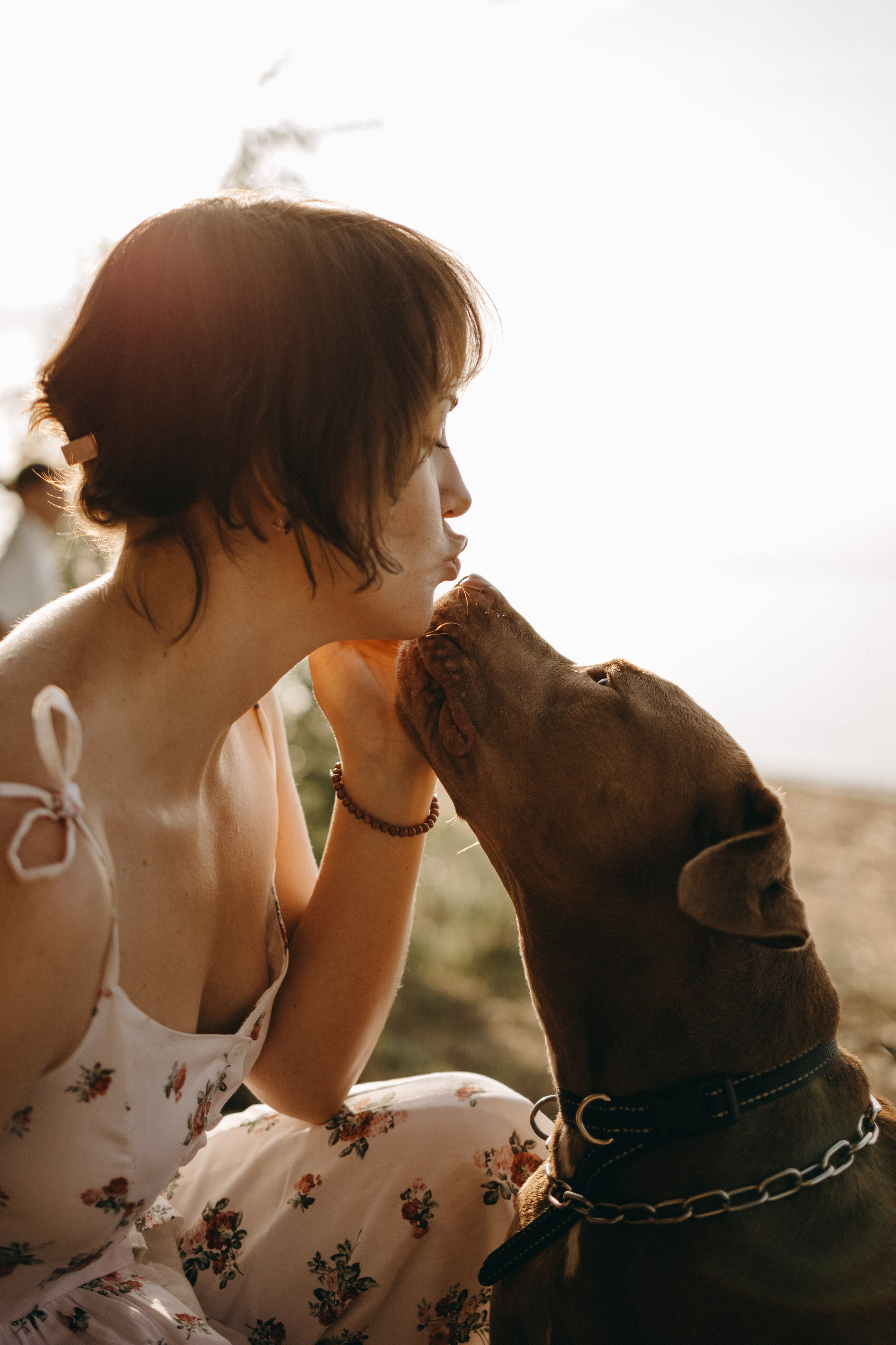Бонни и ее семья. Фотограф — Анималист | Санкт-Петербург