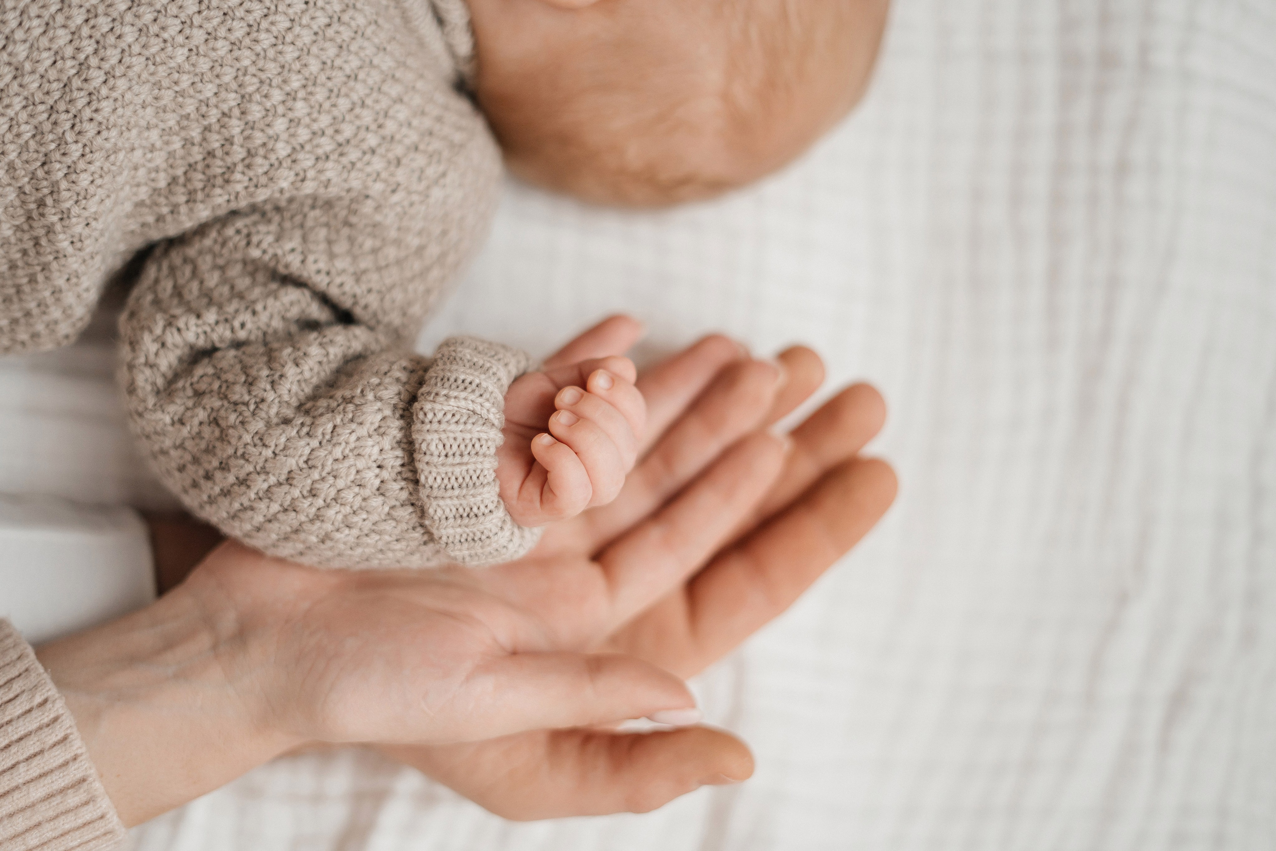 Первый Новый год. Главная