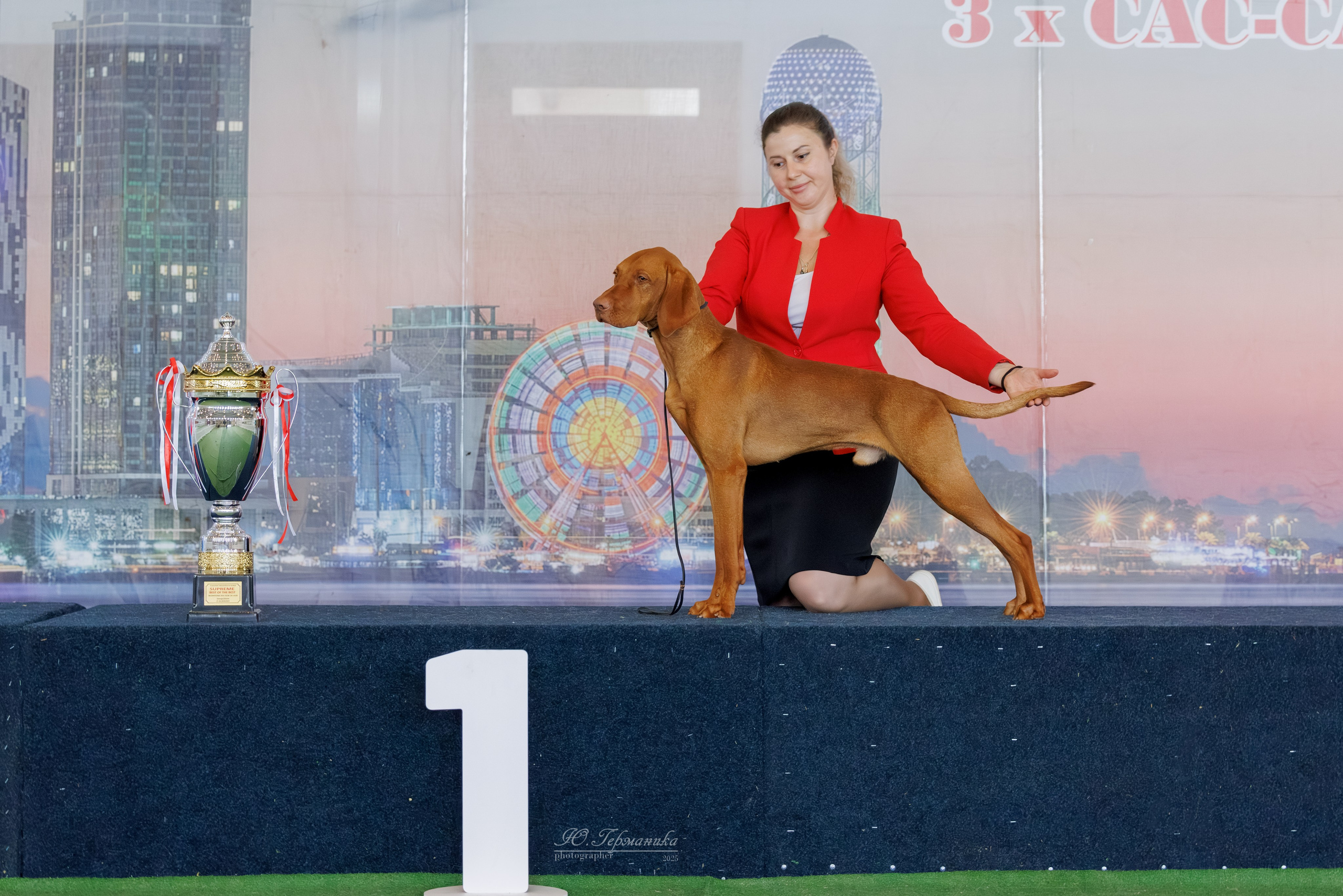 Батуми 3хCACIB 27-29.06.2025. Фотограф-анималист Юлия Германика