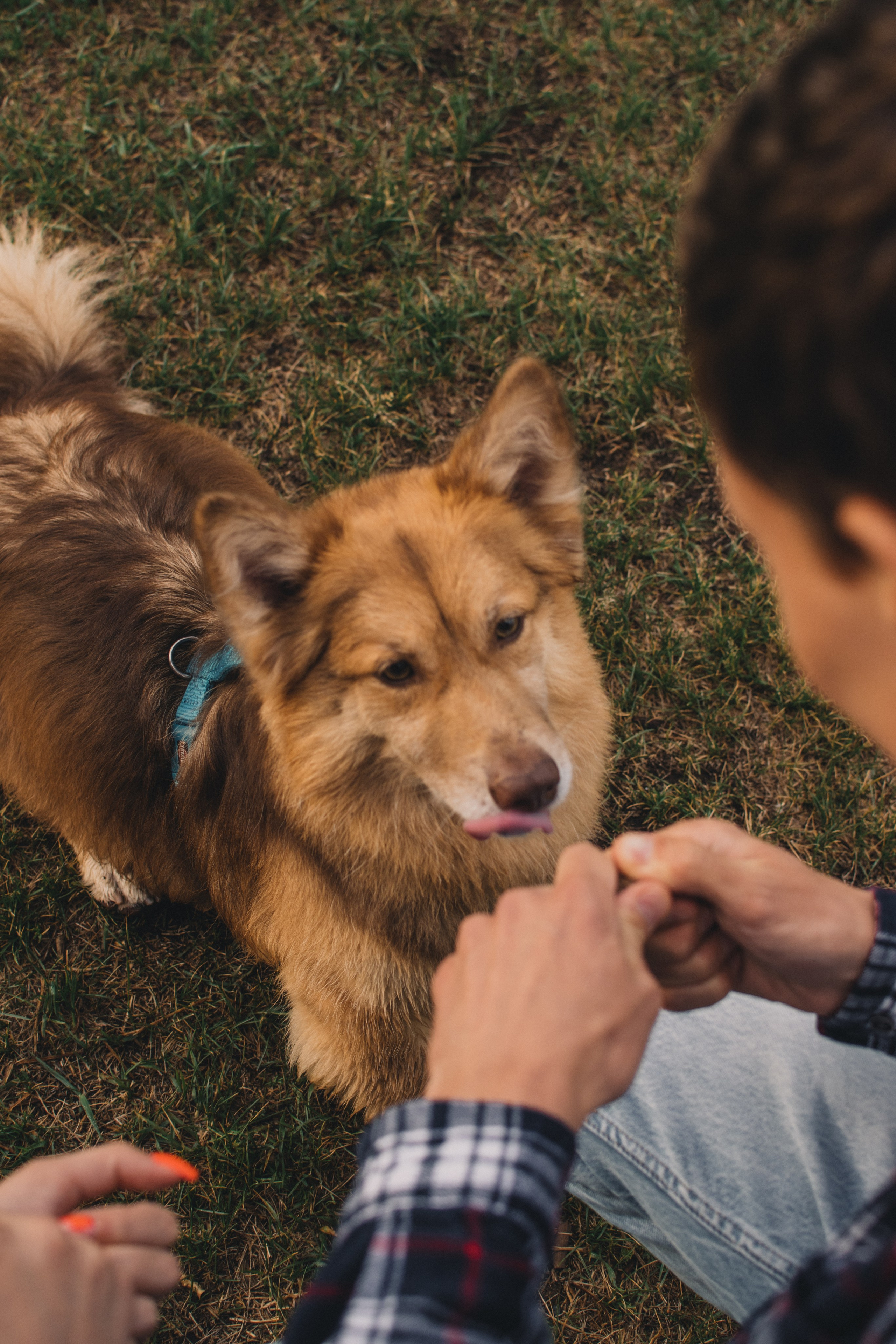 Anya&Alexey. Стильный фотограф Екатеринбурга Veber Anastasia