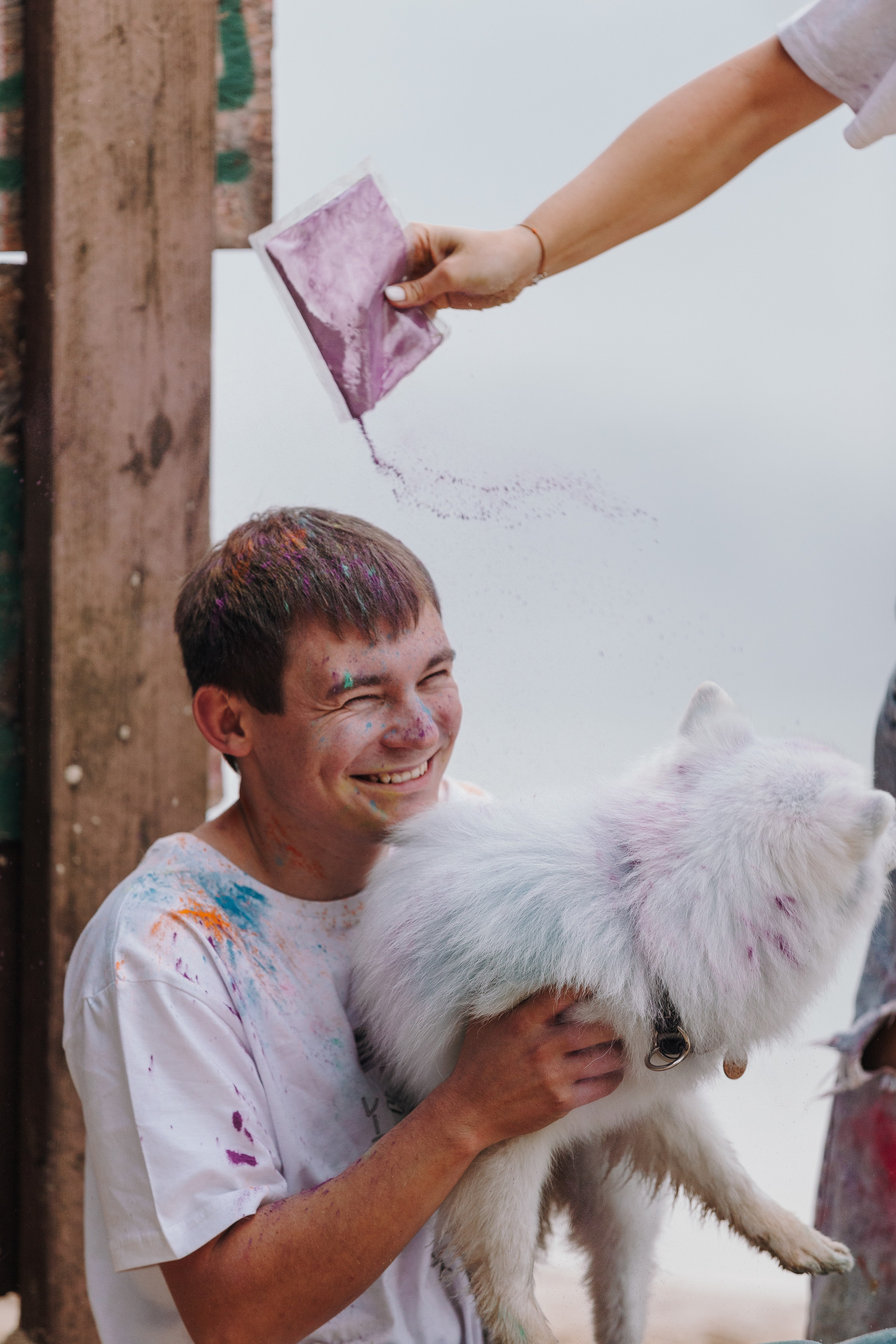 Краски холи. Фотограф анималист Кристина Карпова, Москва