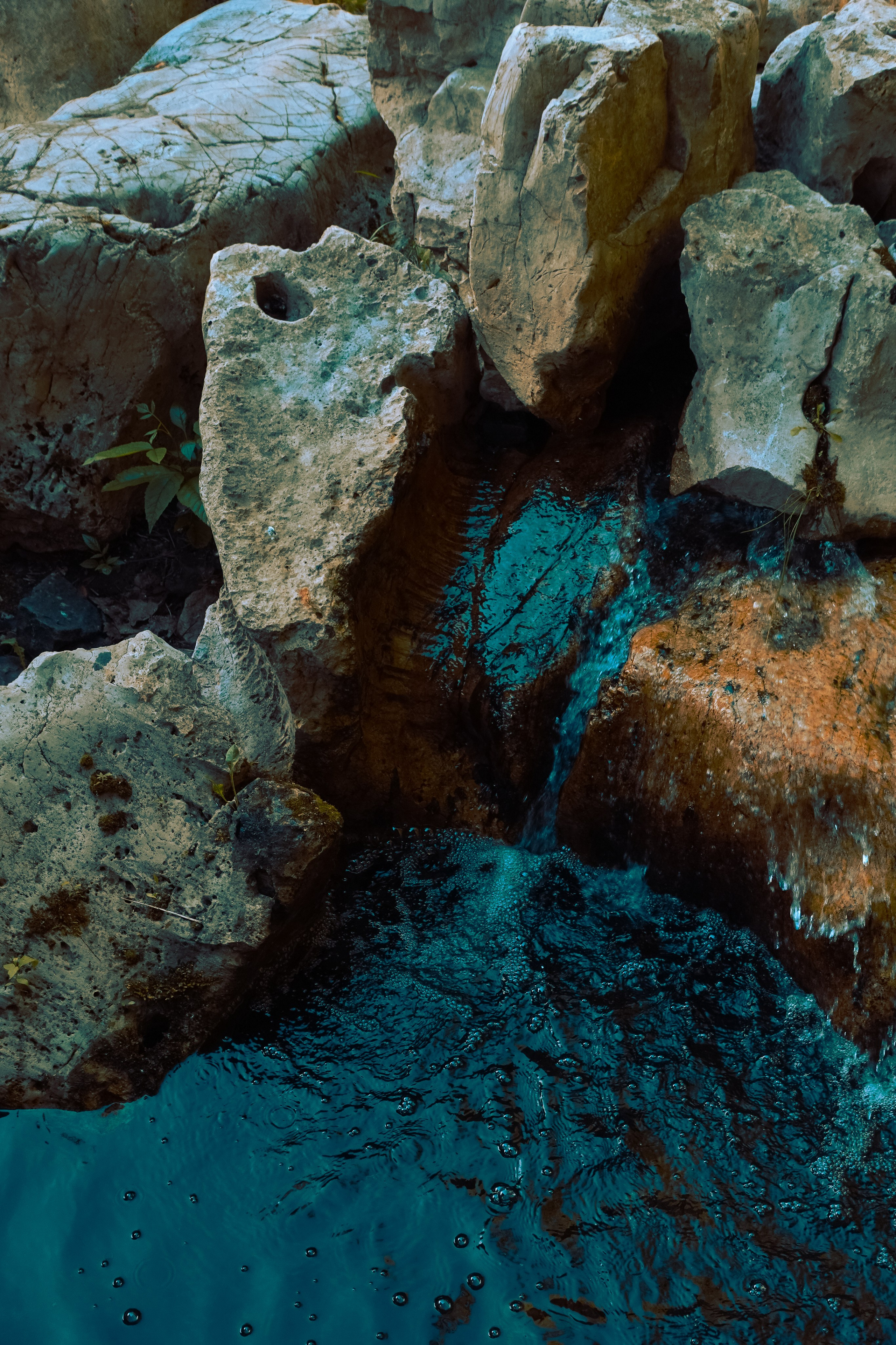 Парк Хуамин. Фотограф Алиса Аспер