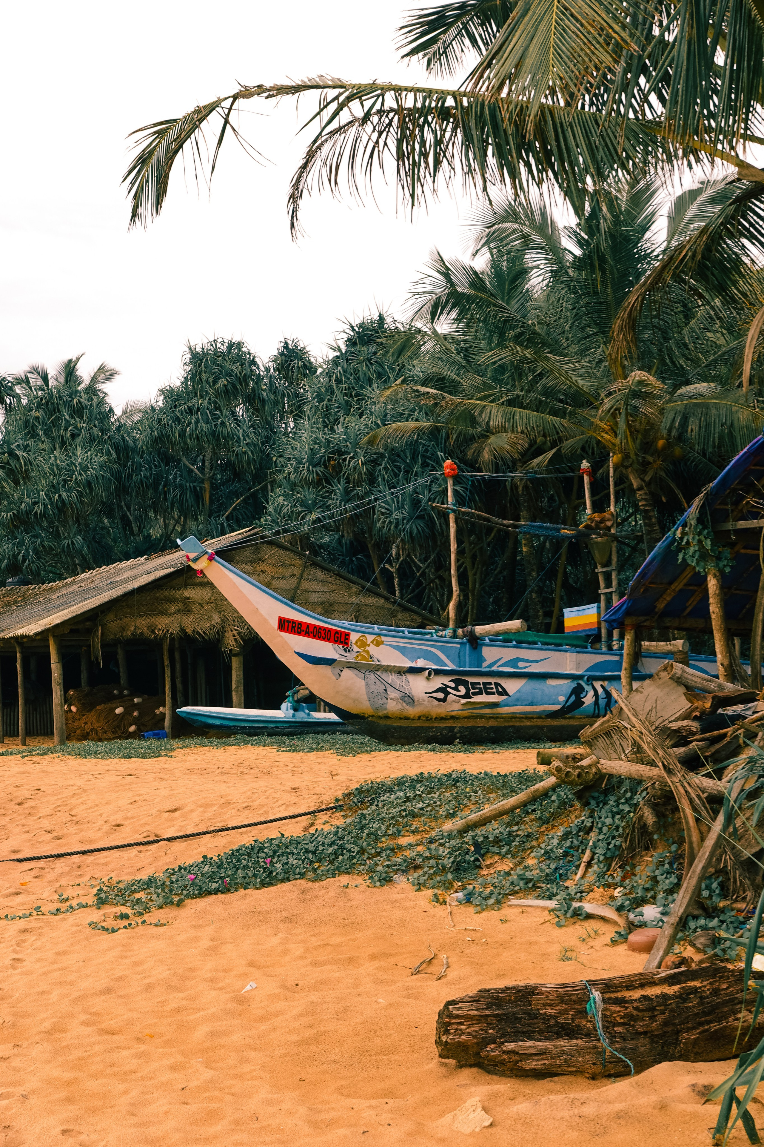 Шри-Ланка. Фотограф Алиса Аспер