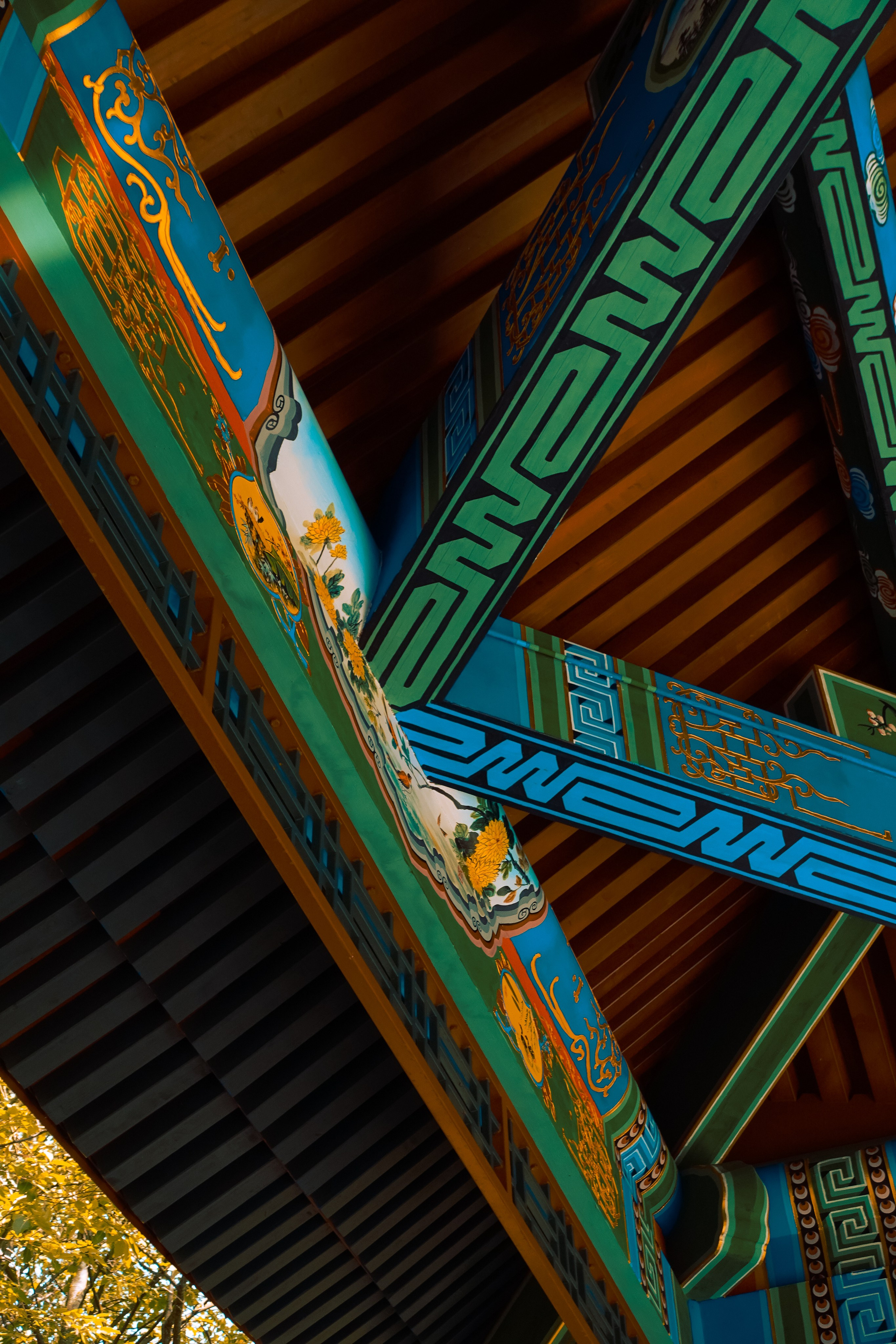 Парк Хуамин. Фотограф Алиса Аспер