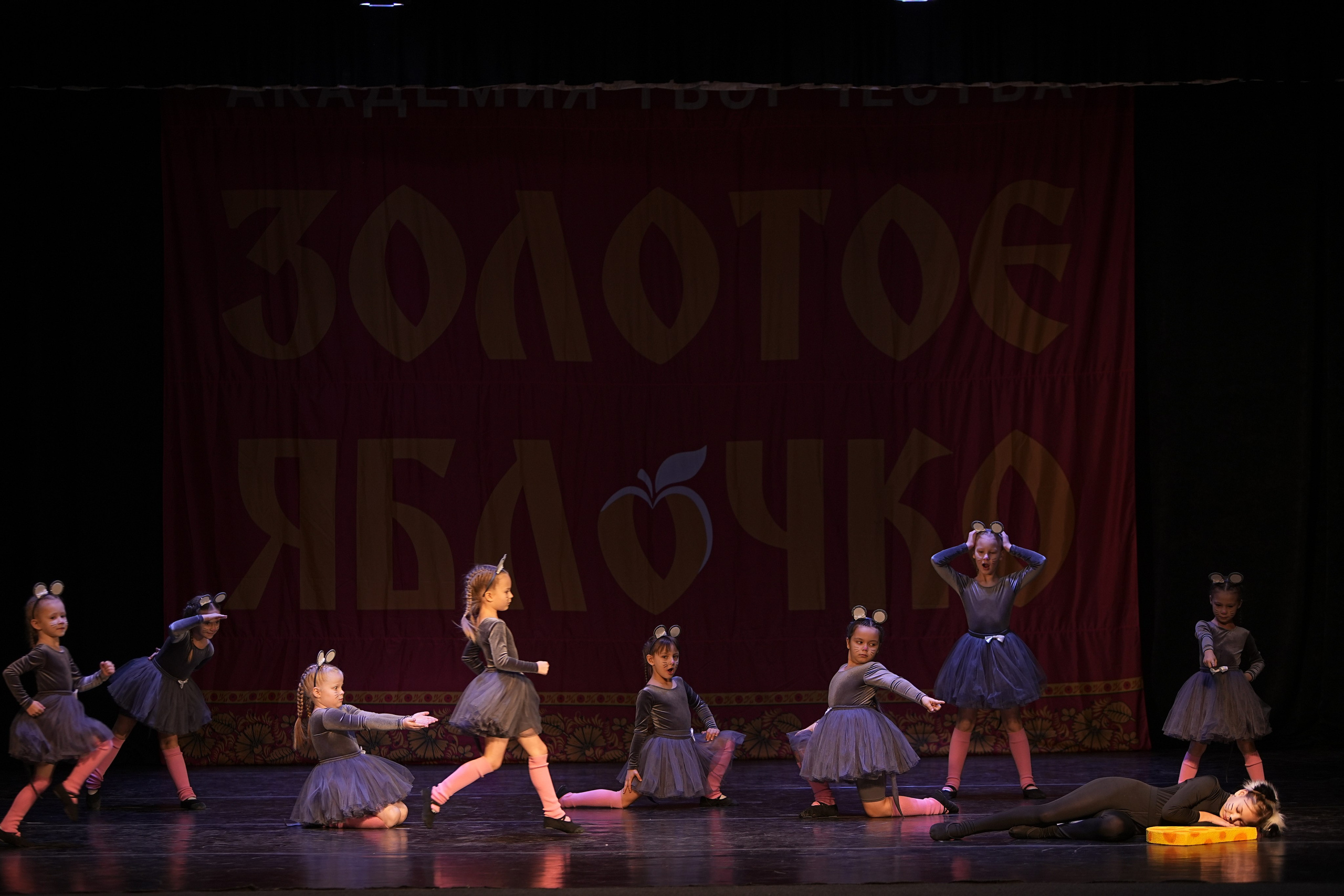 14 декабря, г. Тула. Золотое яблочко