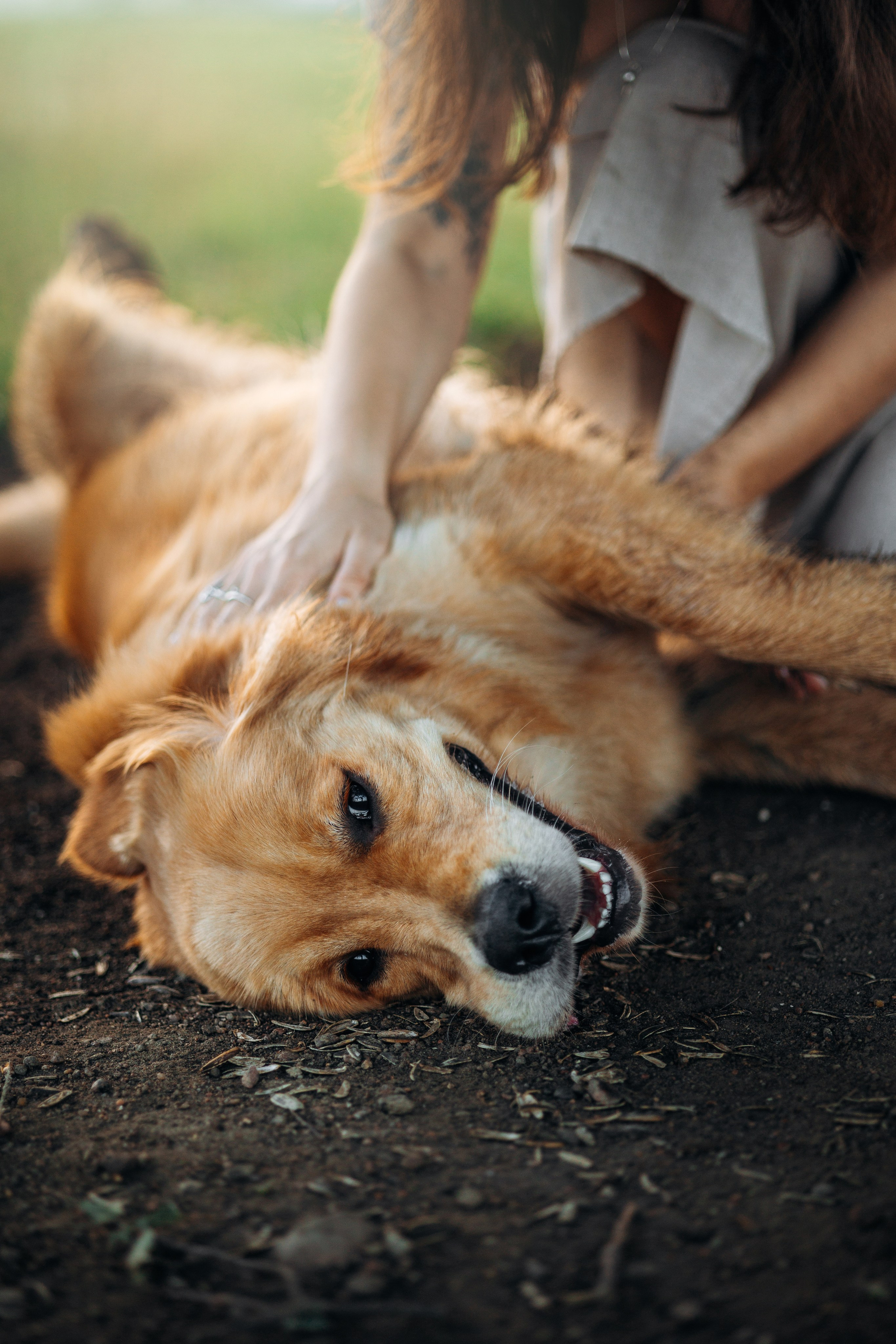 Аня и Ноллан. Фотограф — Анималист | Санкт-Петербург