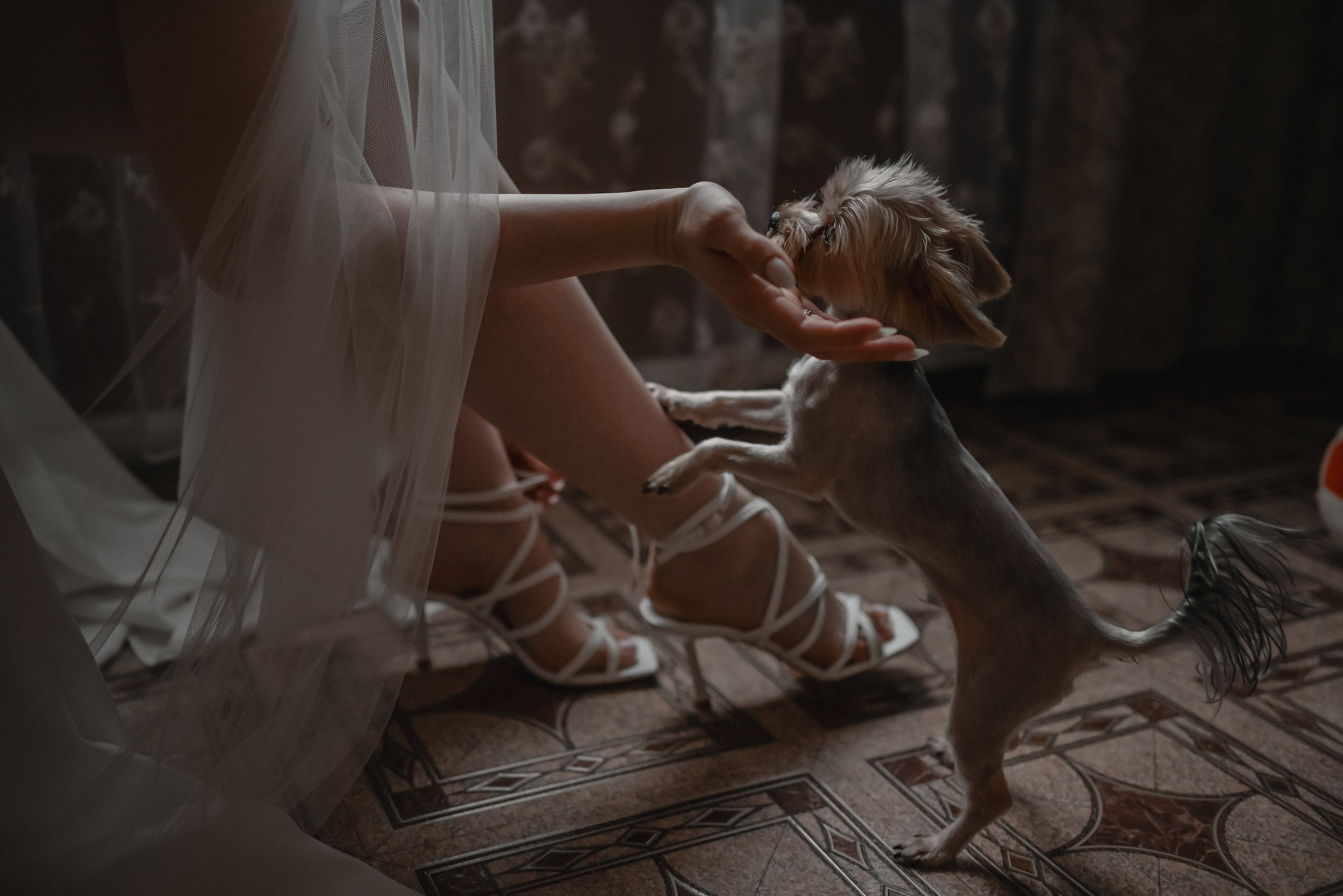 Николай Анастасия. Свадебный фотограф Анна Хочева