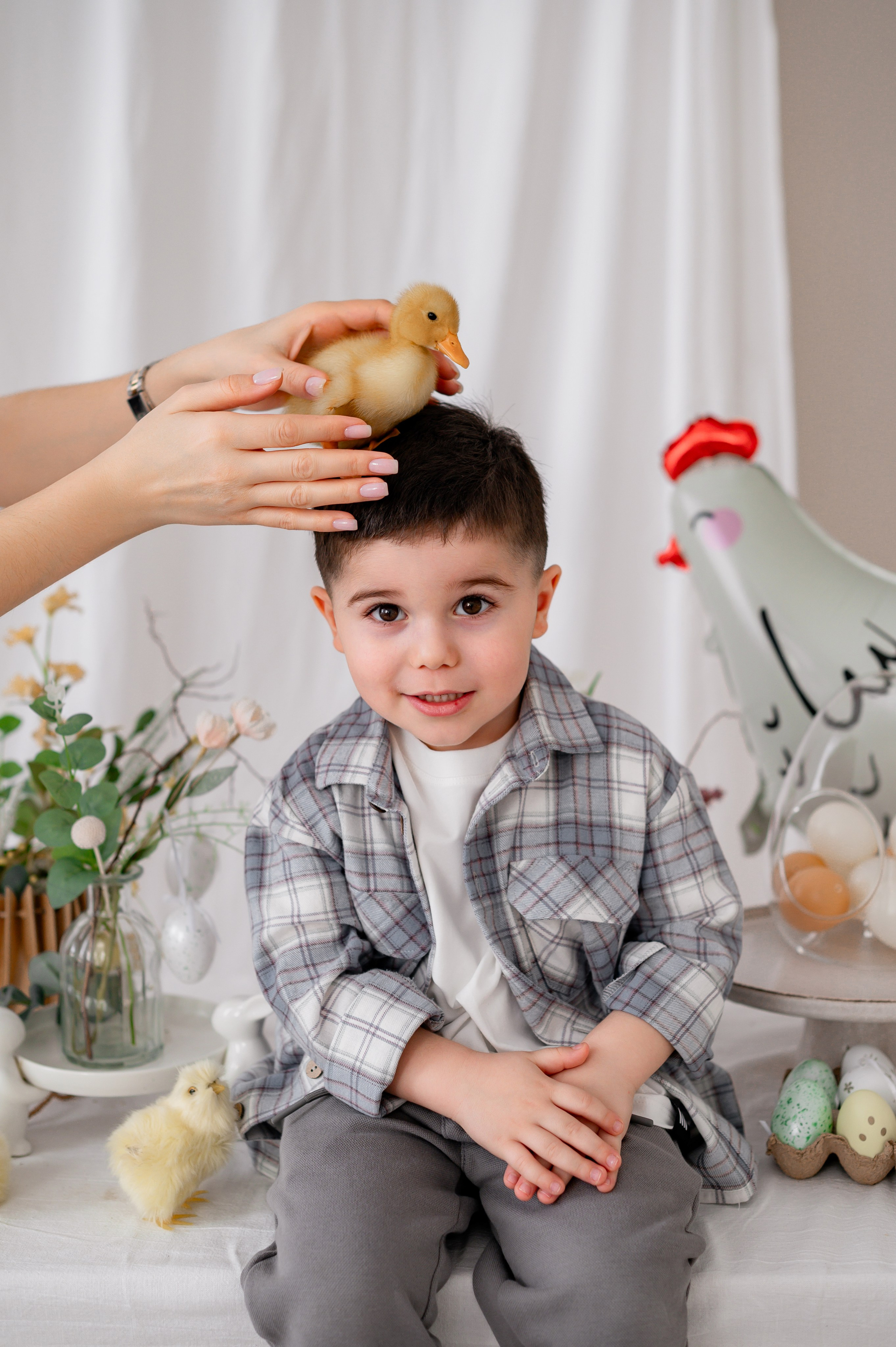 Лев Арина Вика Алена. Фотограф Татьяна Иванчикова