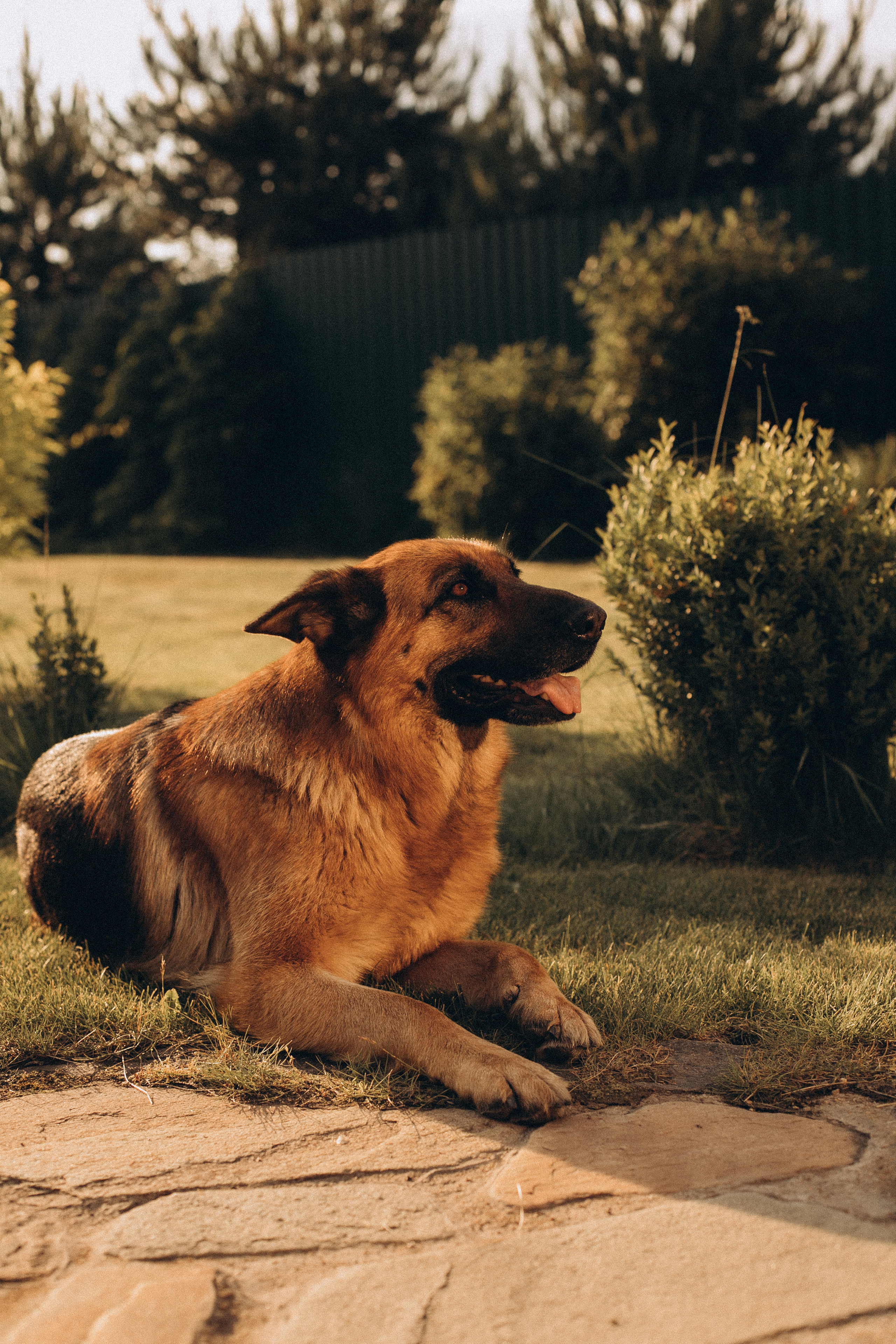 Елена + Михаил + Гриша + Артем + Савелий. Семейный и детский фотограф Юлия Шох