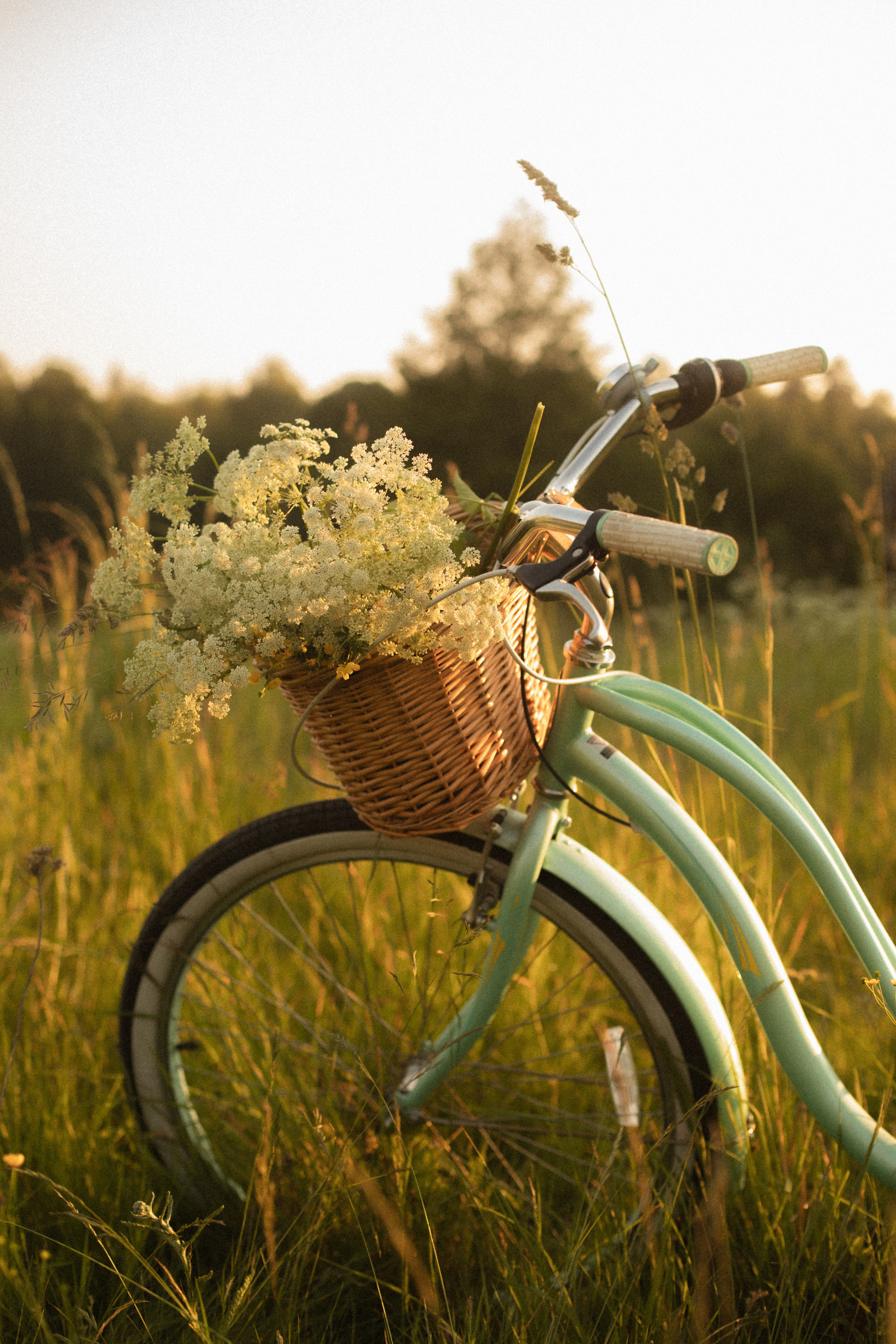 Петронэлла. Семейный и детский фотограф Юлия Шох