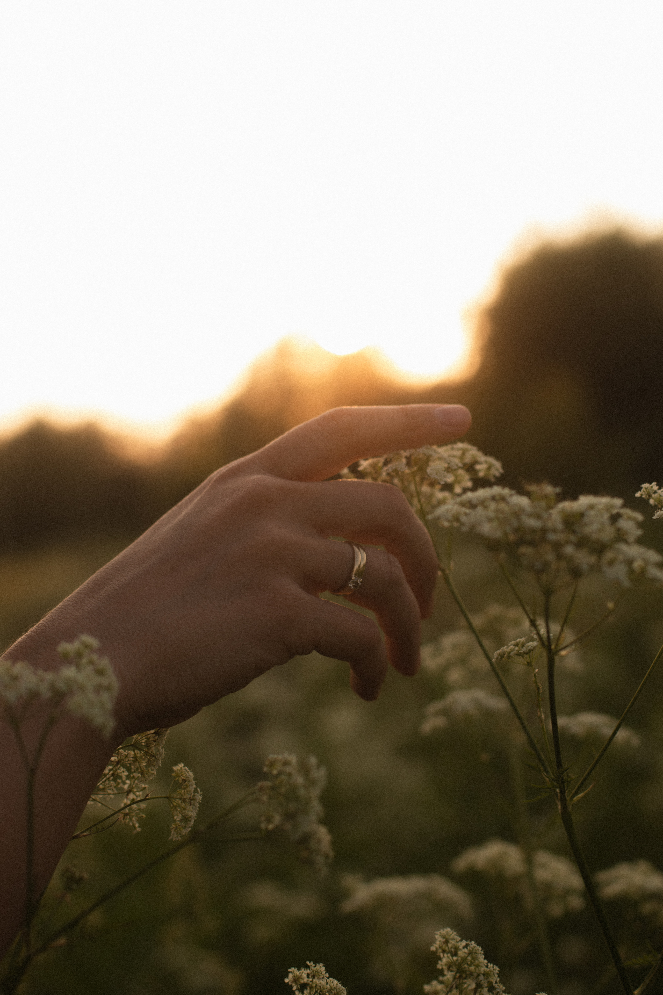 Петронэлла. Семейный и детский фотограф Юлия Шох