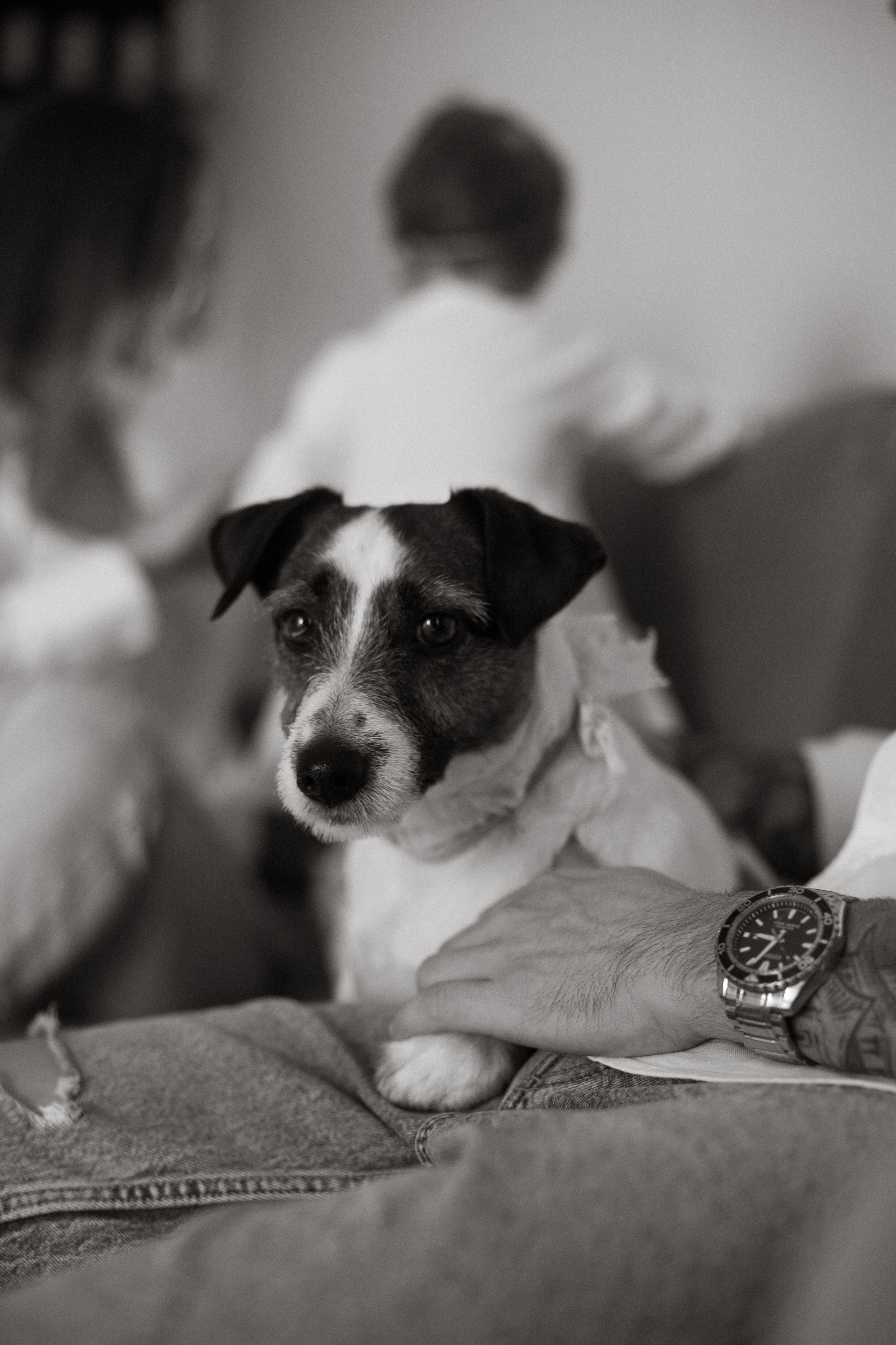 Ника + Маша +Леша. Семейный и детский фотограф Юлия Шох