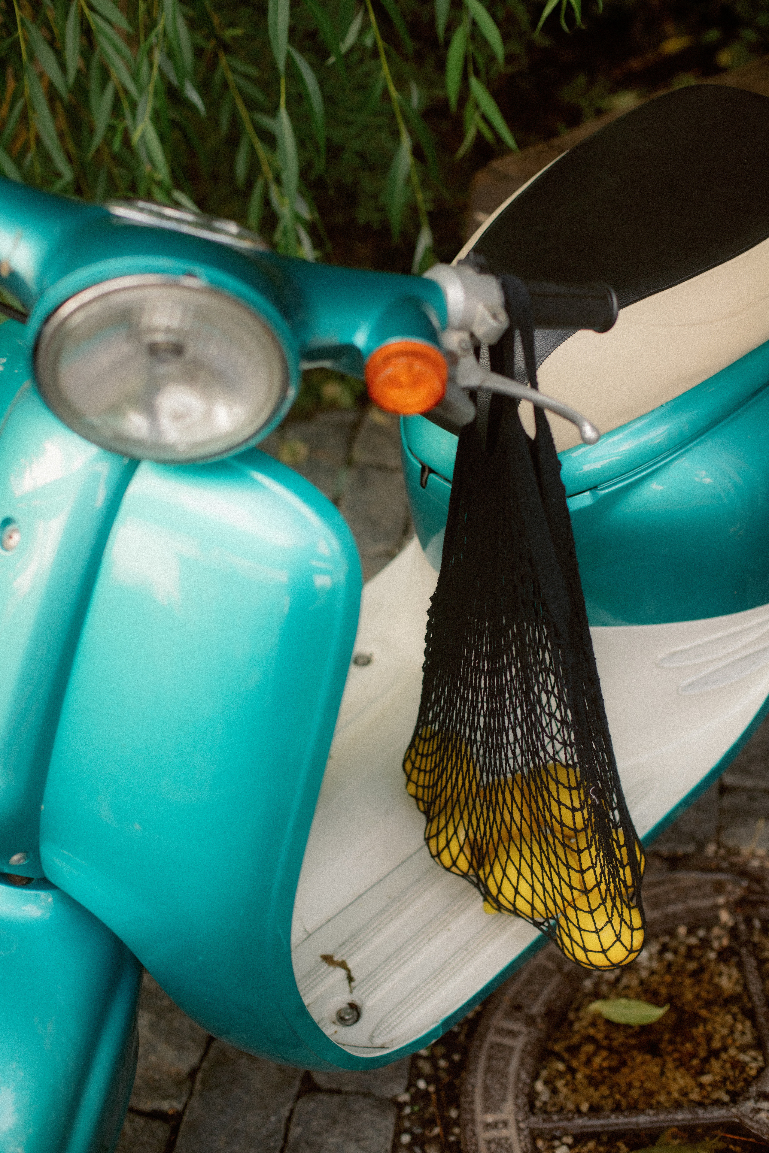 Полина. Семейный и детский фотограф Юлия Шох