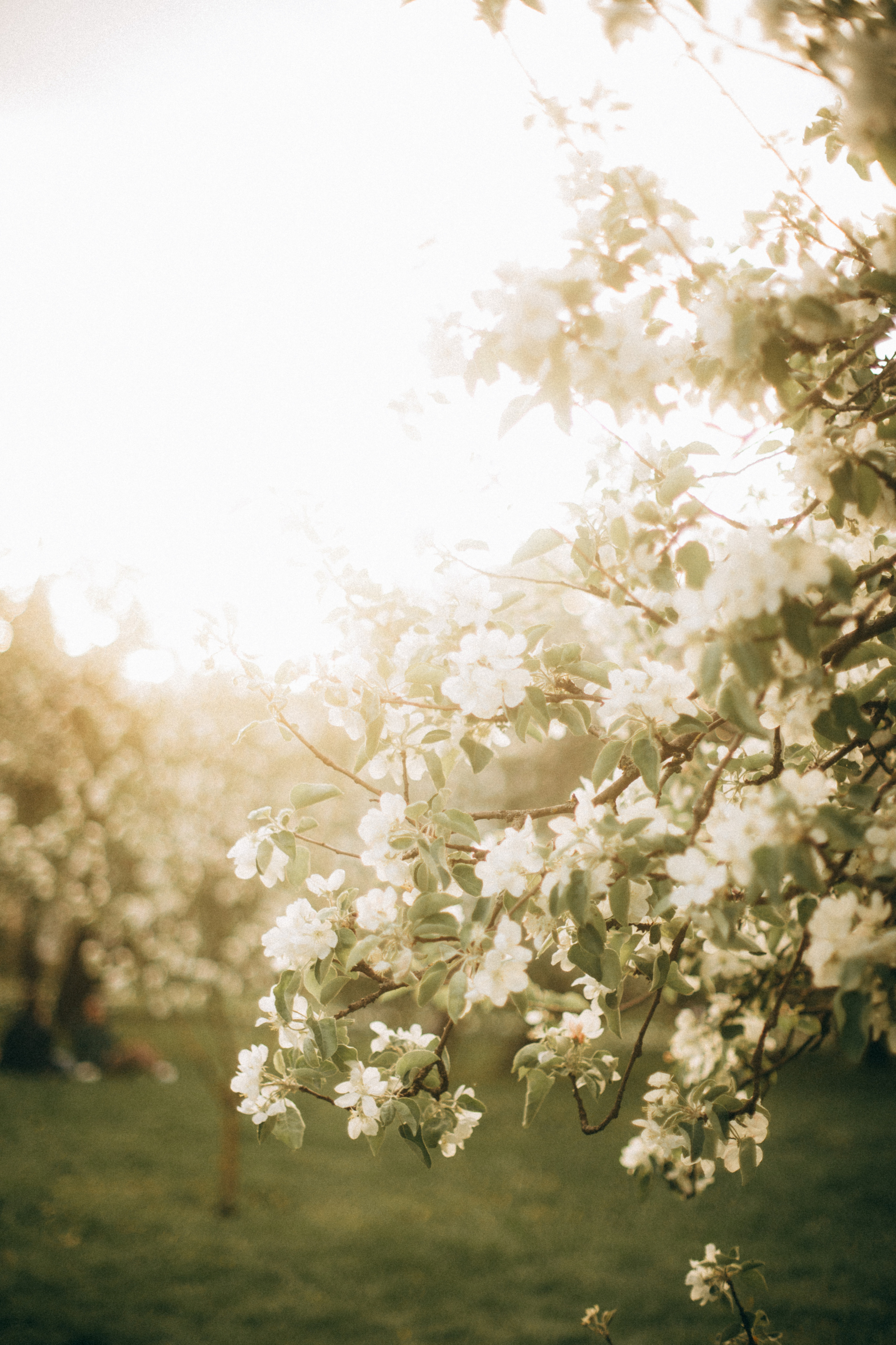 Марина. Семейный и детский фотограф Юлия Шох