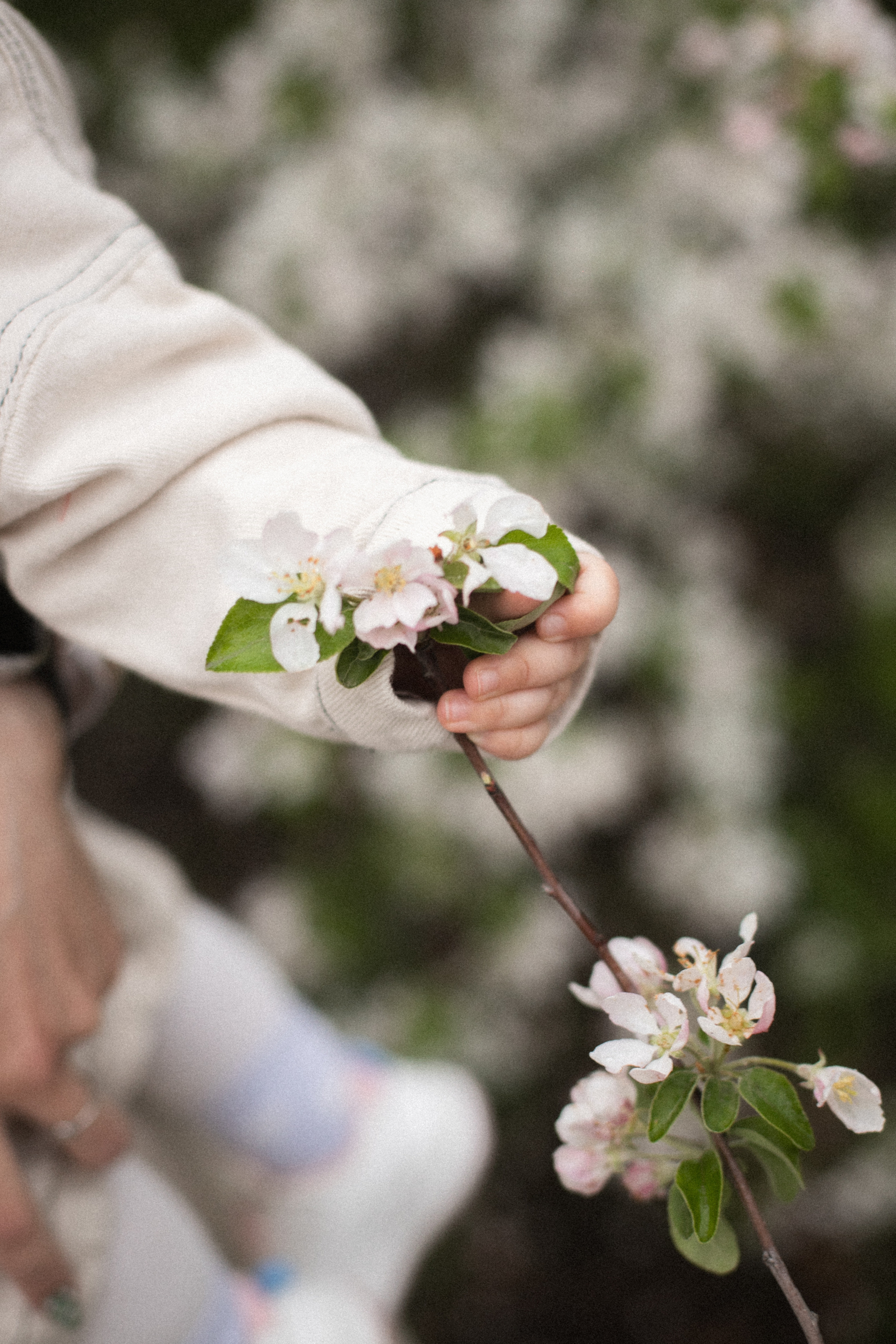 Настя и ее семья. Семейный и детский фотограф Юлия Шох