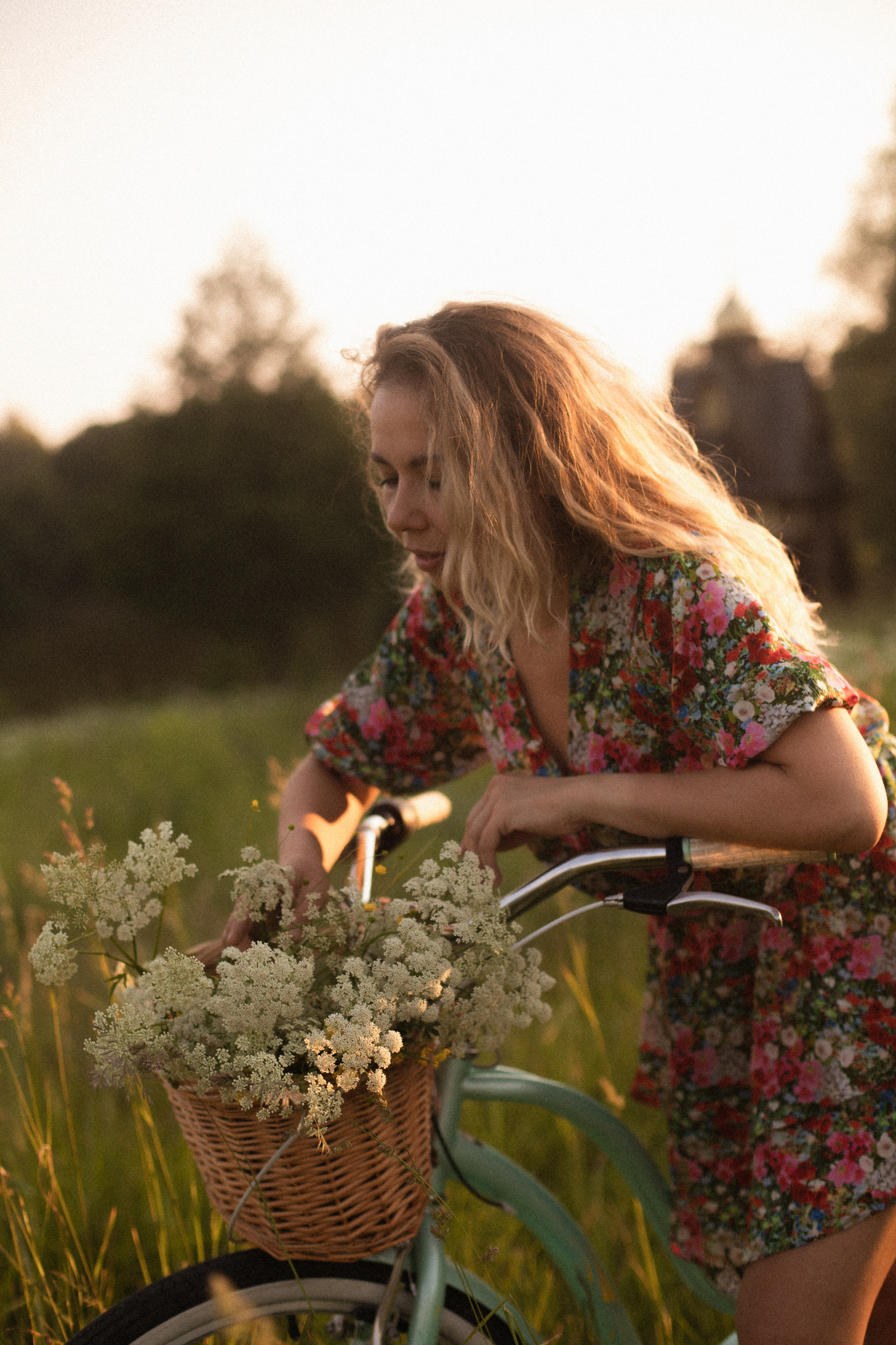 Петронэлла