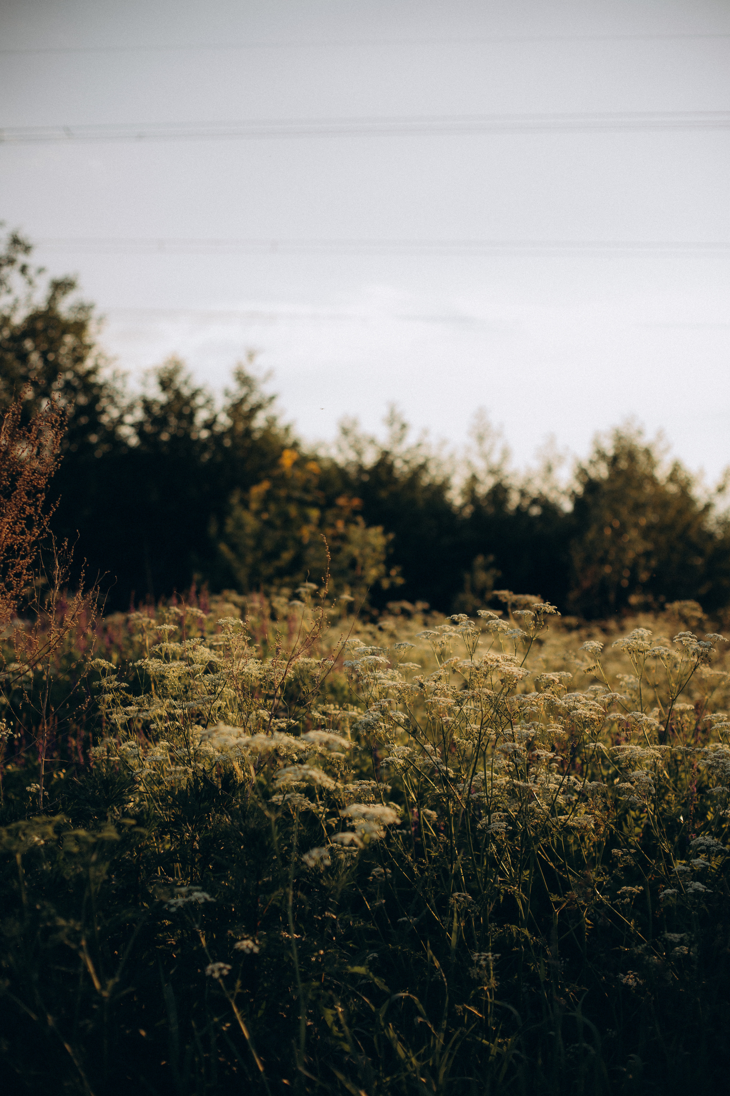 Елена + Михаил + Гриша + Артем + Савелий. Семейный и детский фотограф Юлия Шох