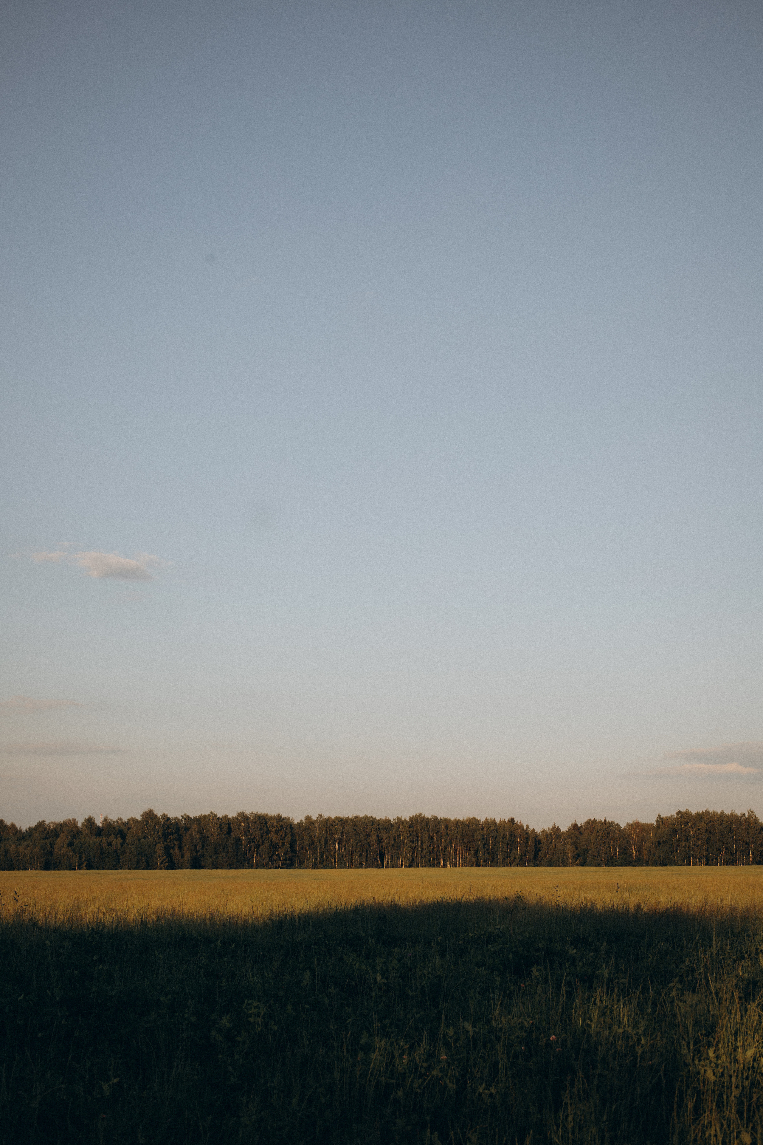Елена + Михаил + Гриша + Артем + Савелий. Семейный и детский фотограф Юлия Шох