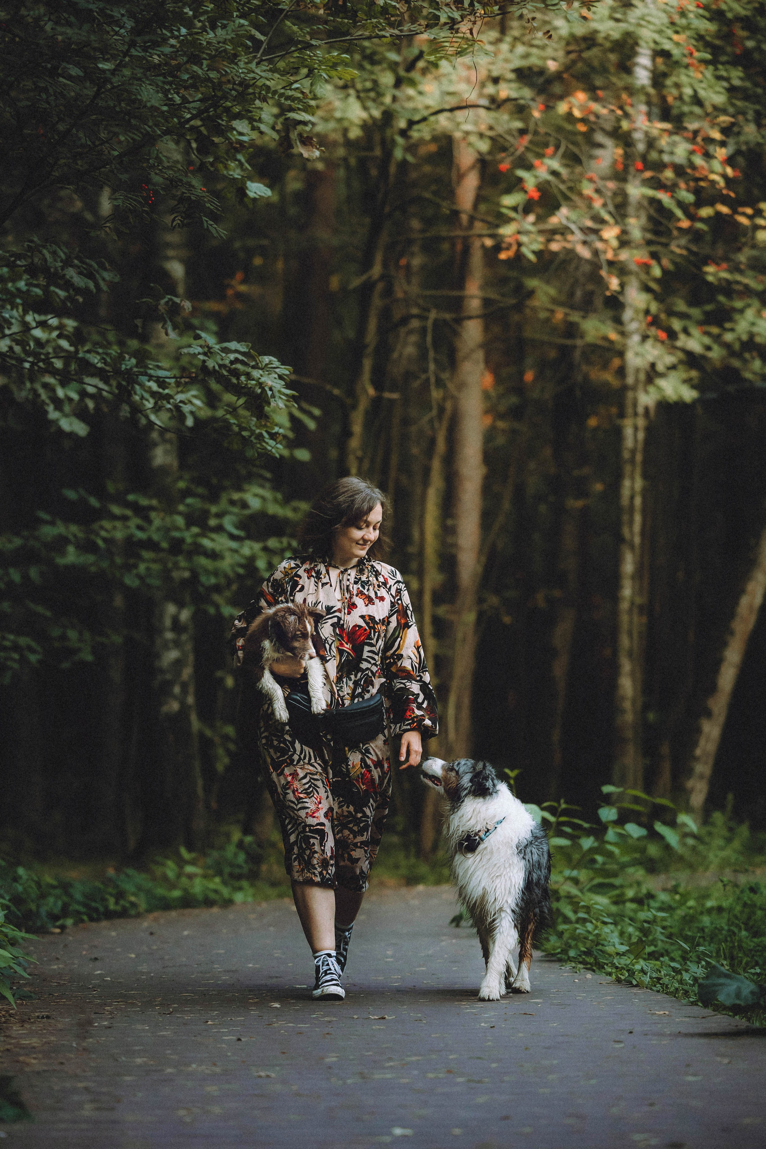 Лена, Принц и Фенек