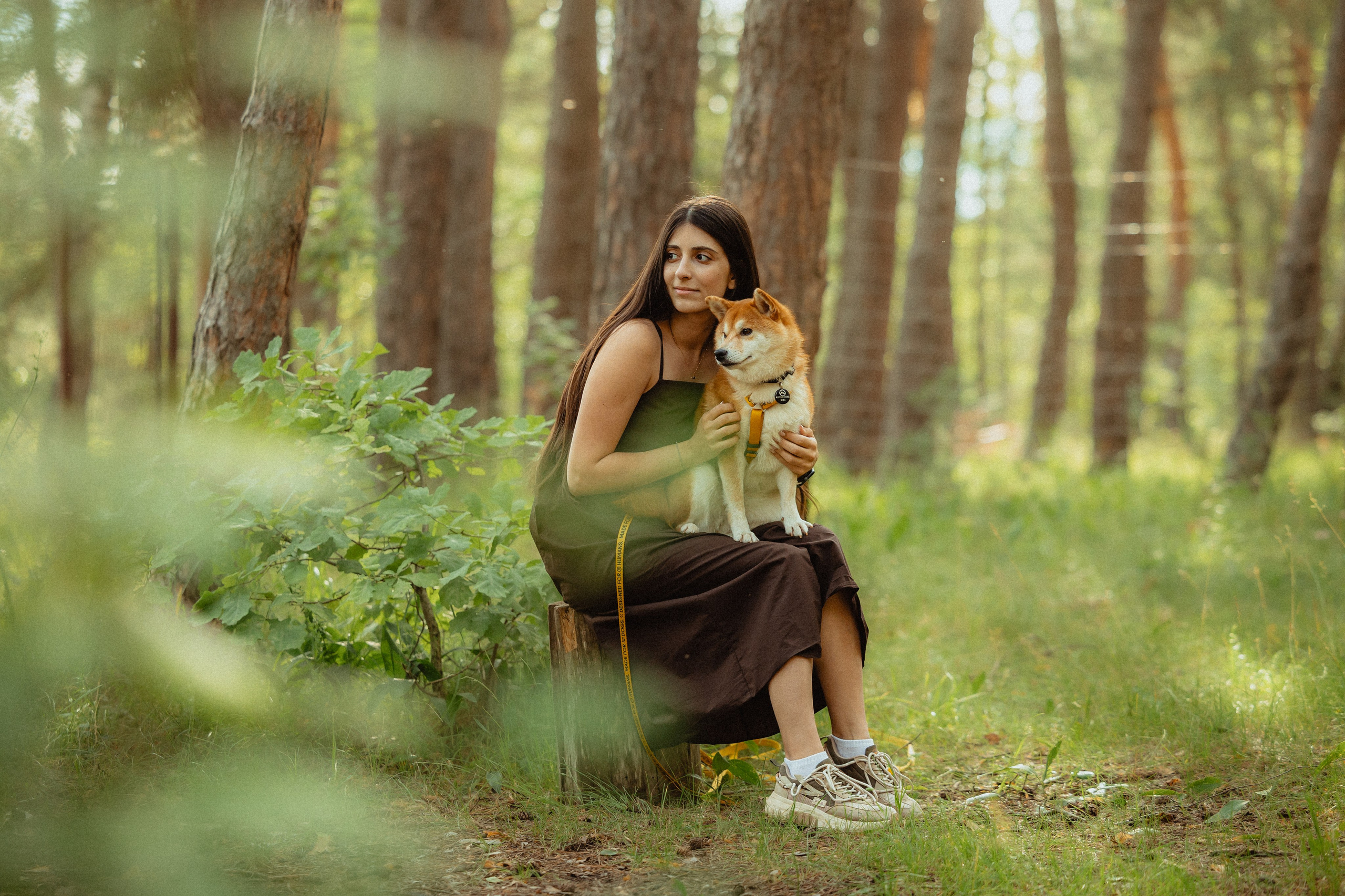Выездной дог-тренинг от школы «Шерсть имею»