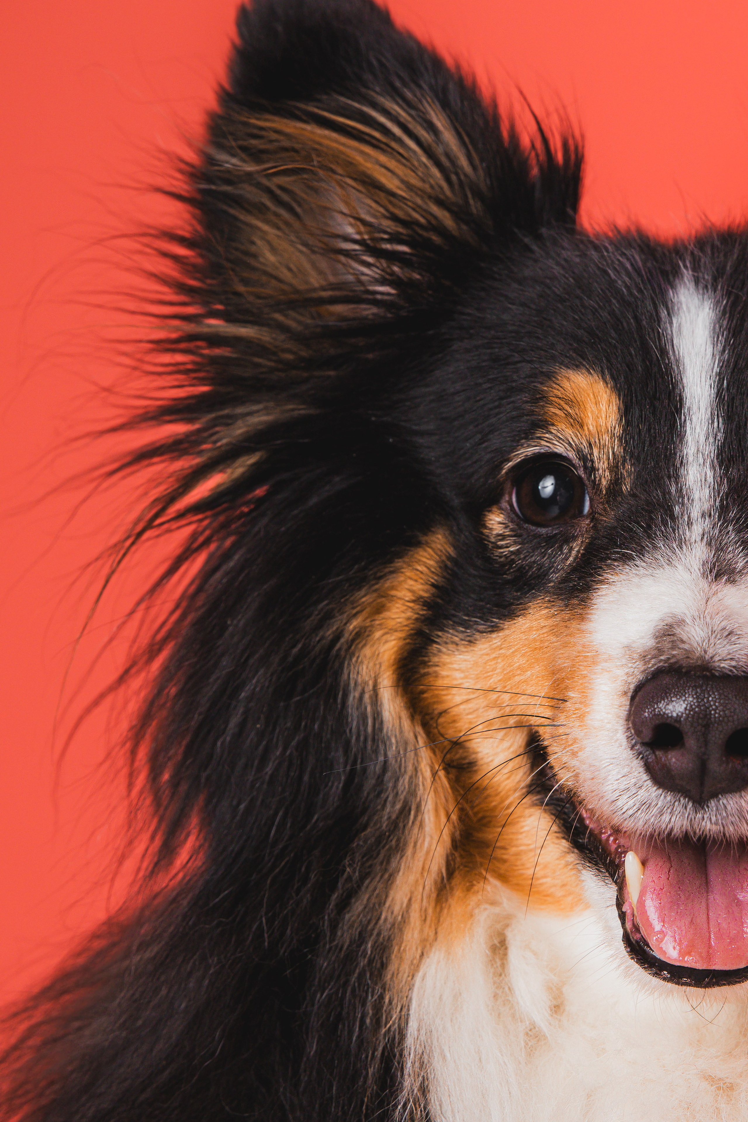 Воркшоп по импульсному свету