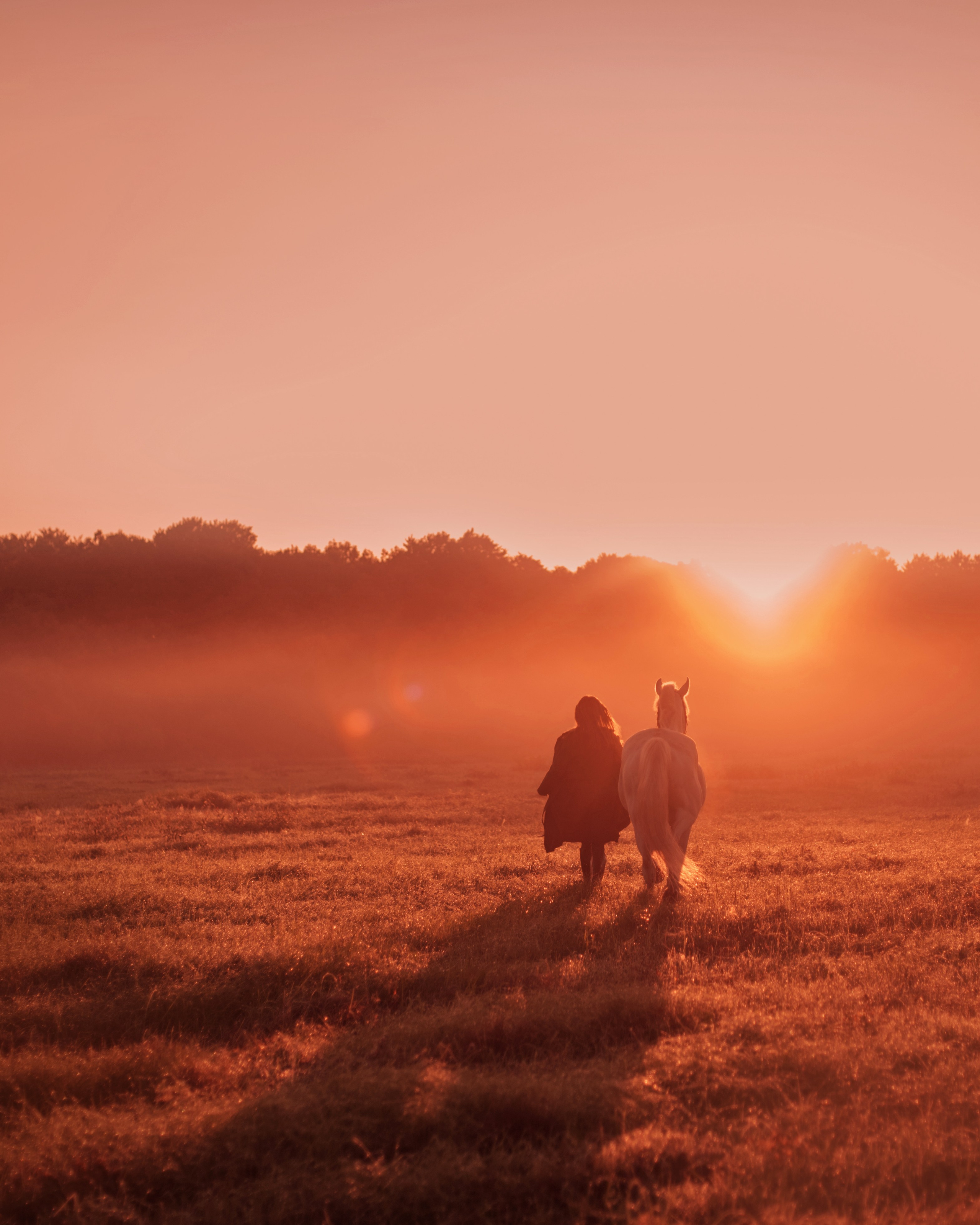 Конное: рассвет на поле с Лерой и Златой. Портфолио