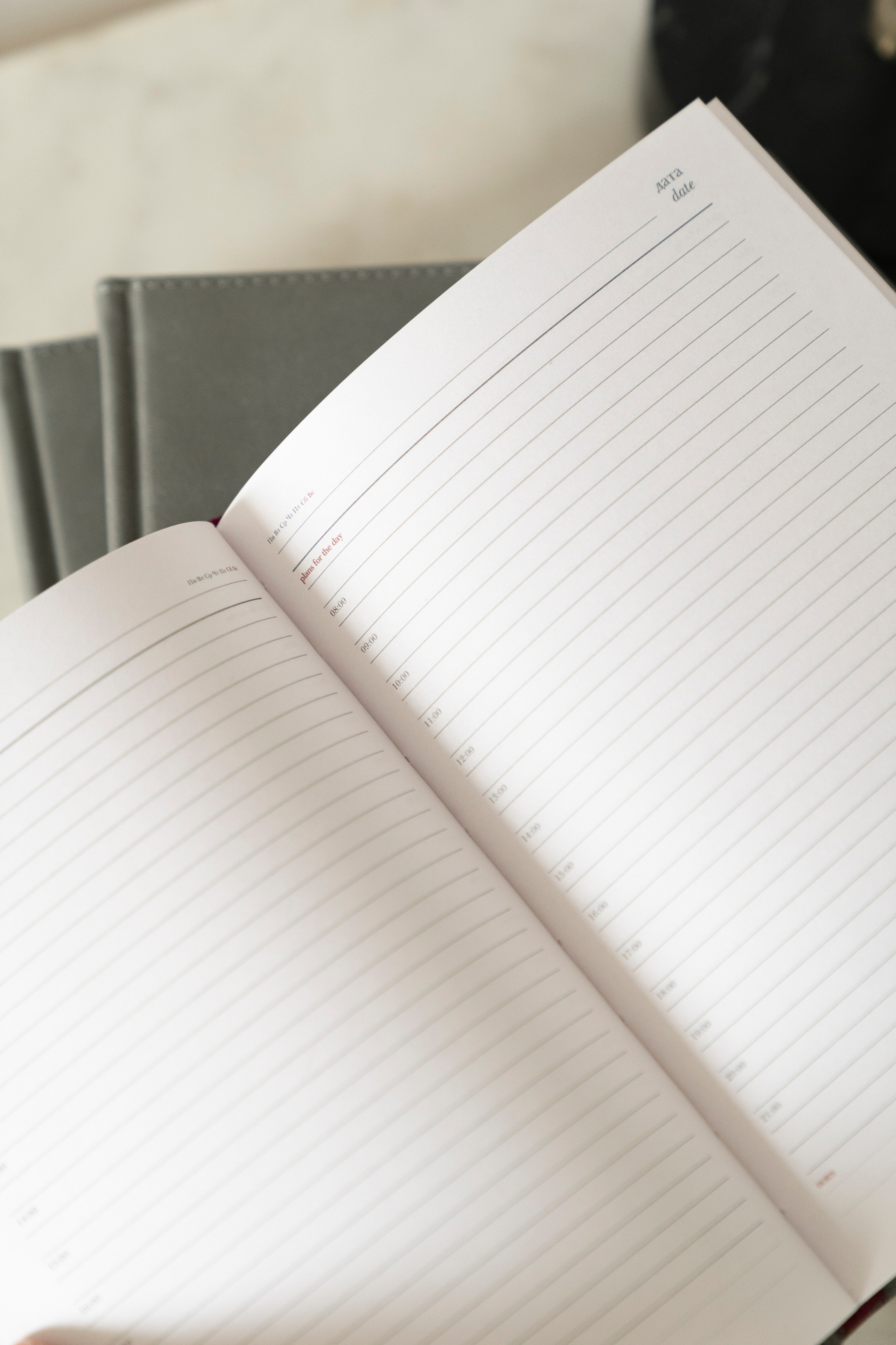 Manifest Magazine. Фотограф Ирина Соколенко Санкт-Петербург