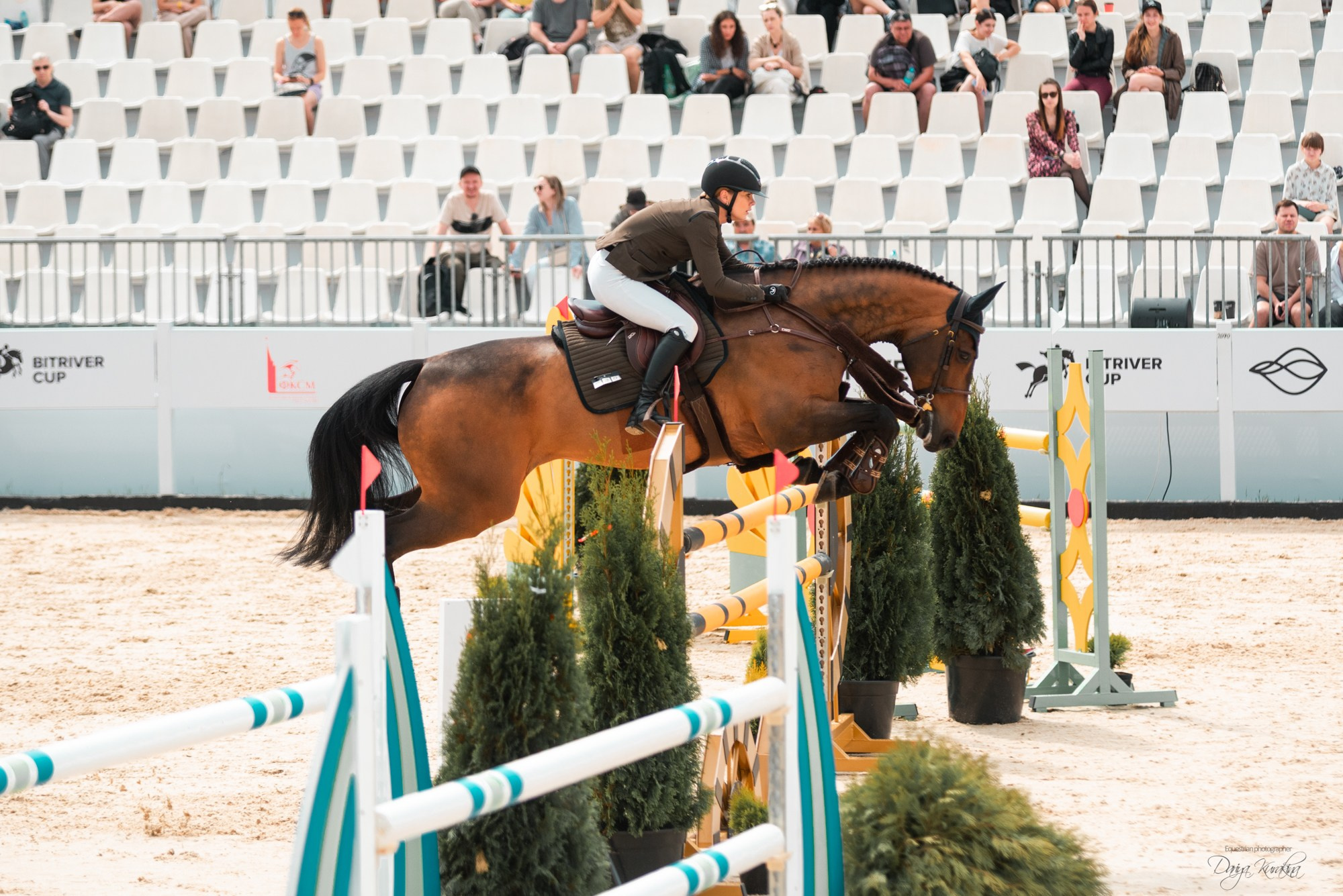 BITRIVER CUP 2023. Конный фотограф Куракина Дарья • Фотосессии с лошадьми