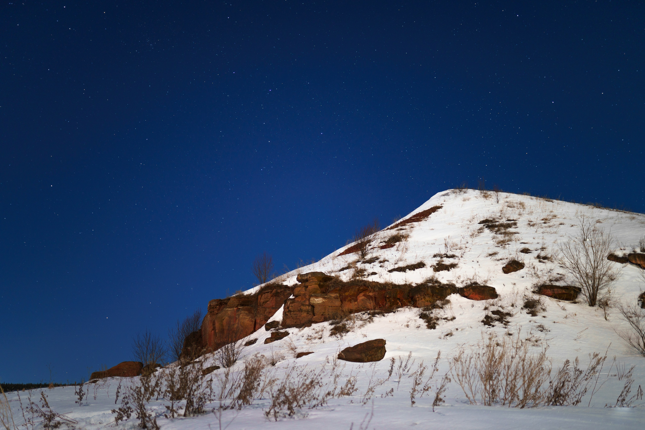 ЦВЕТНЫЕ ФОТОГРАФИИ. Никита Аничкин фото и видео оператор из России