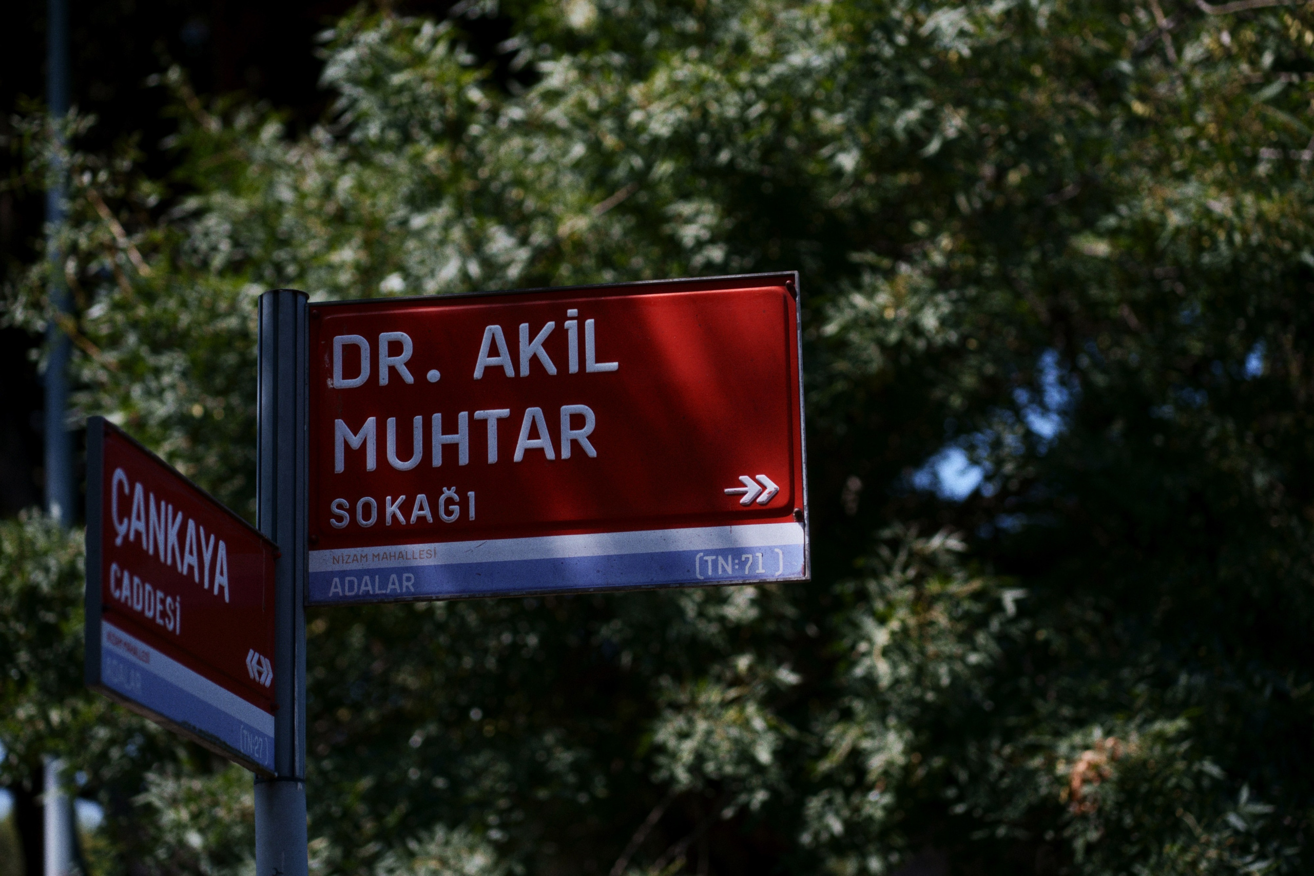 Büyükada х Heybeliada, Istanbul / Türkey SS25. Фотограф Юрин Евгений