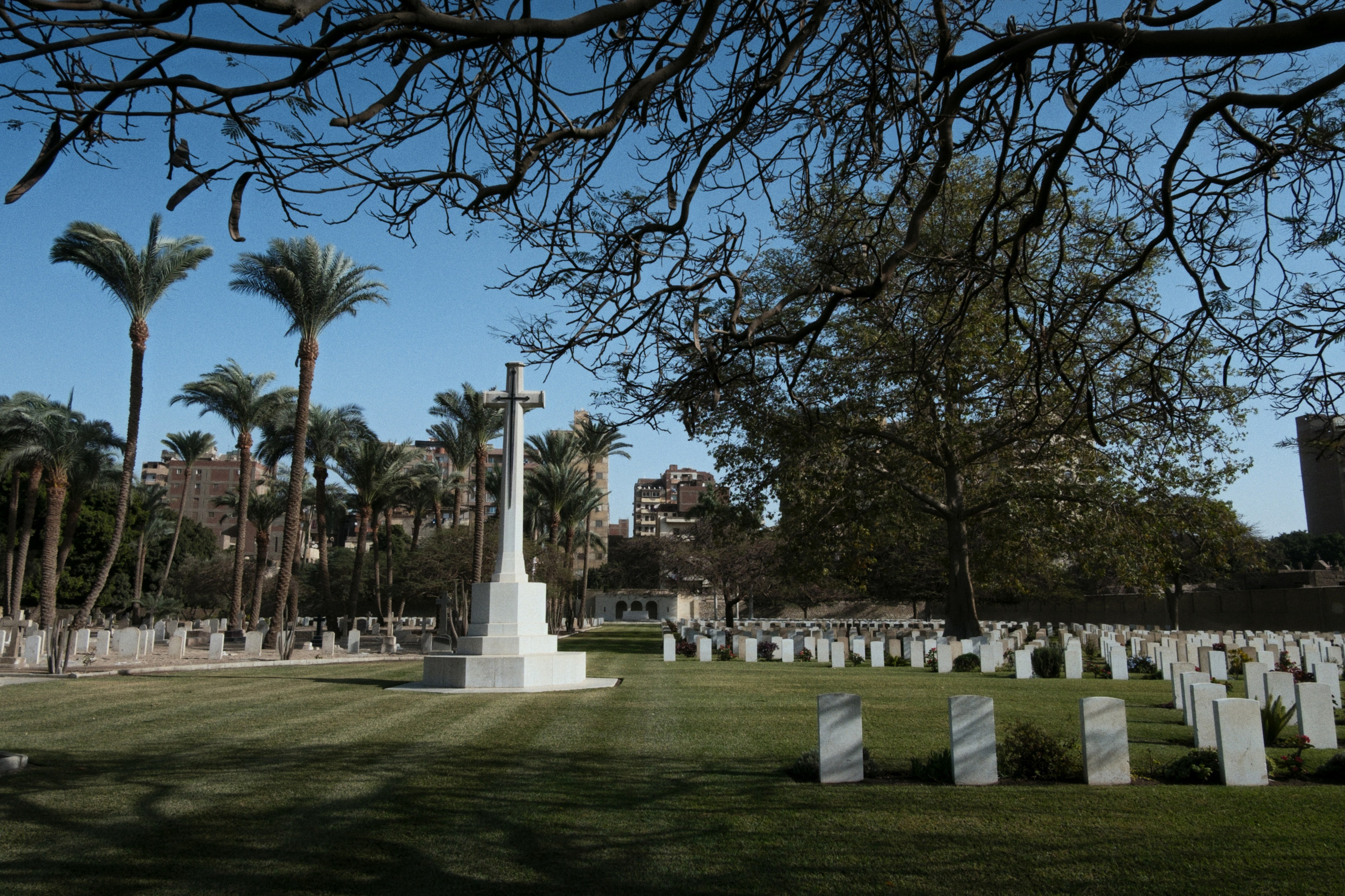 War Memorial Cemetery / Cairo, Egypt AW25. Фотограф Юрин Евгений