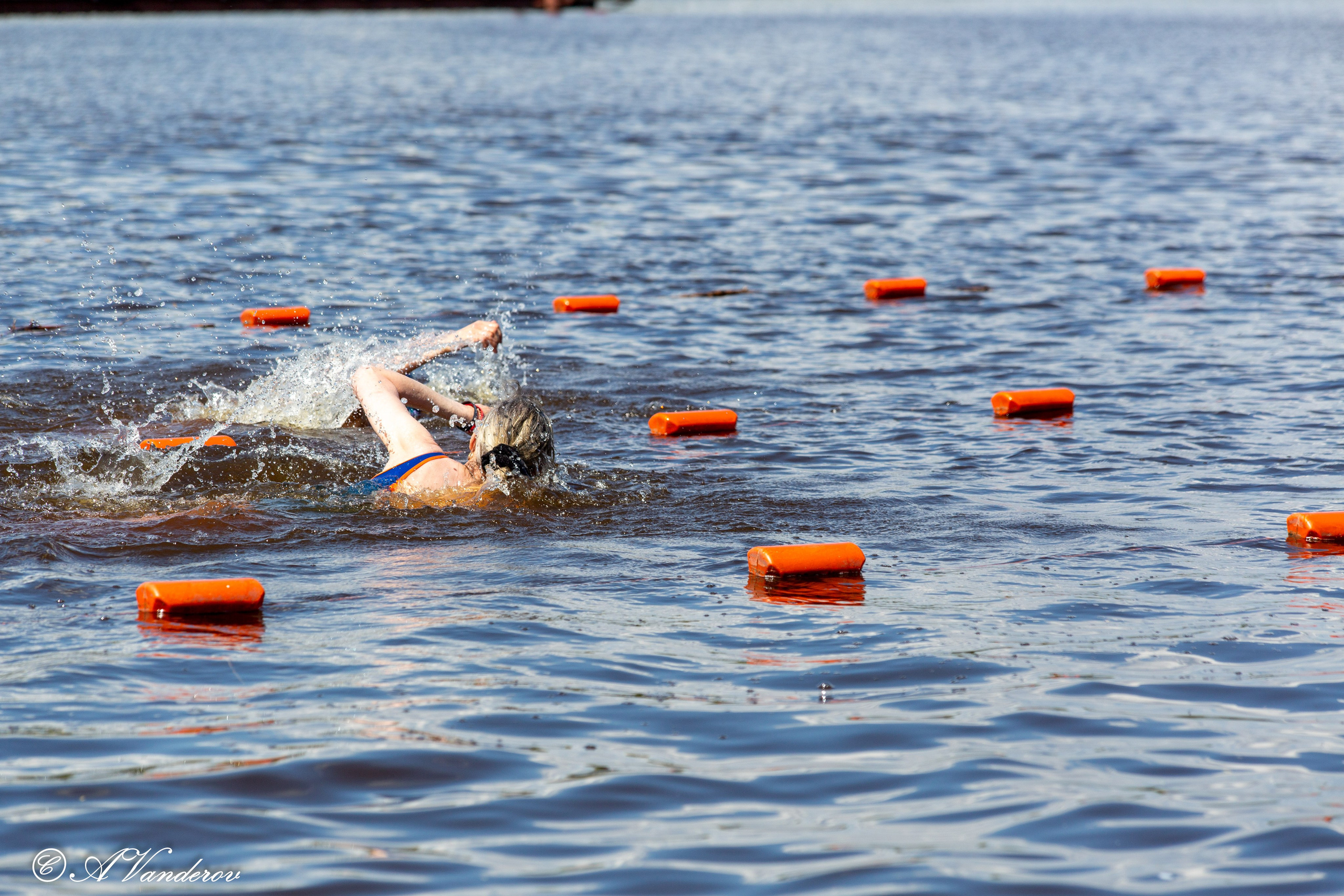 Заплыв 02.06.2024. Фотограф Омск | Александр Вандеров